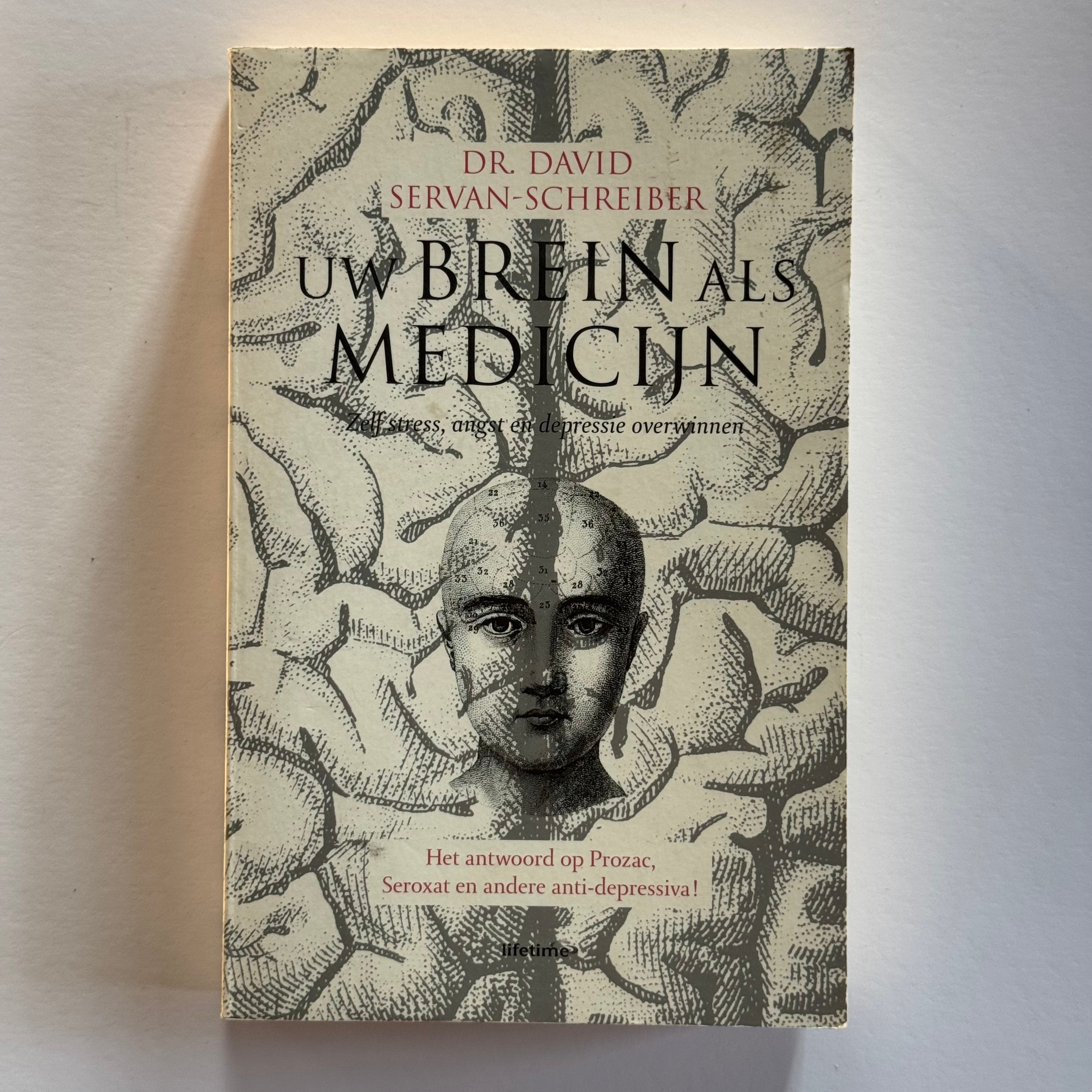 Your Brain as Medicine - Overcoming Stress, Anxiety and Depression Yourself