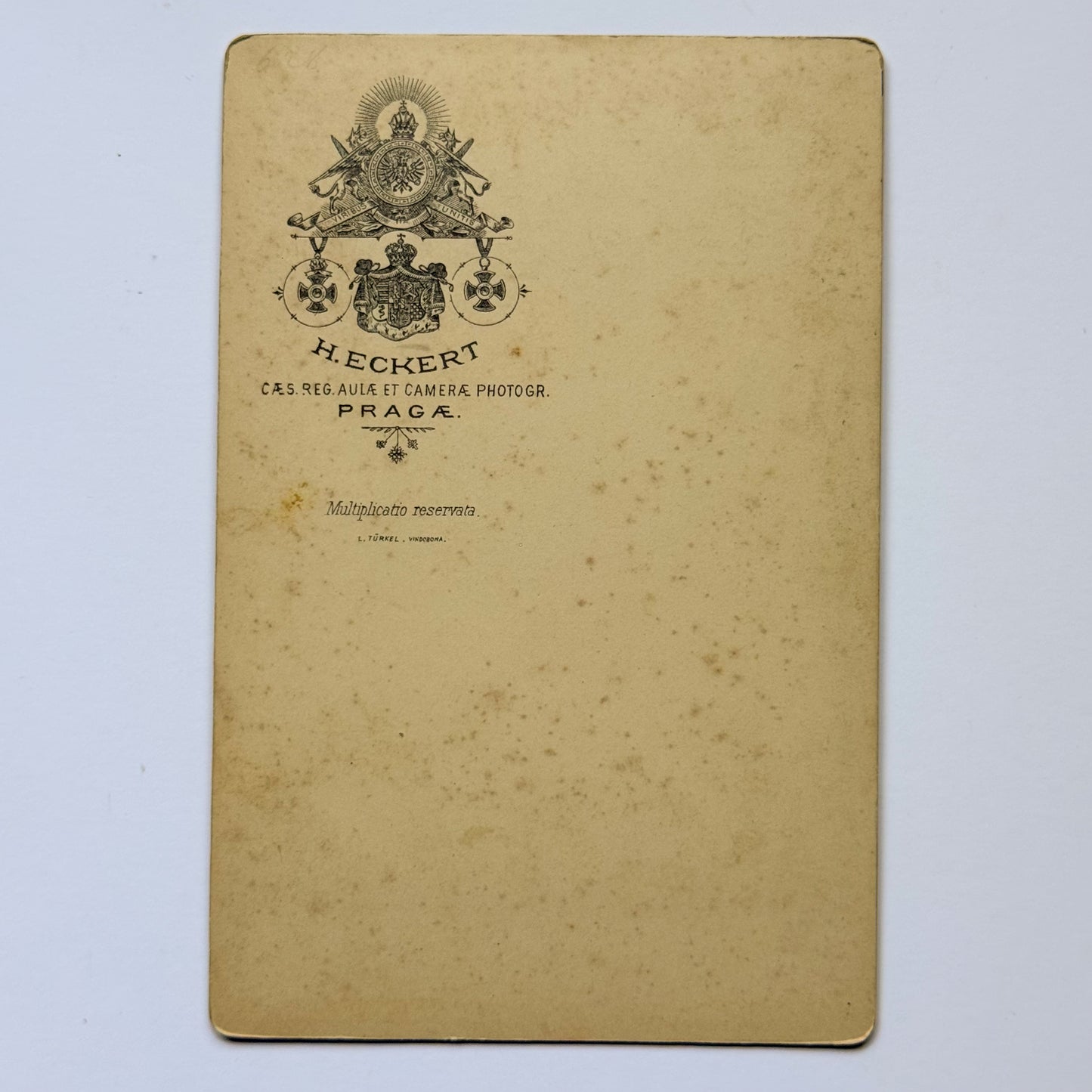 Porträt eines bärtigen Mannes - H. Eckert, Hof- und Kammerfotograf, Prag (ca. 1885)