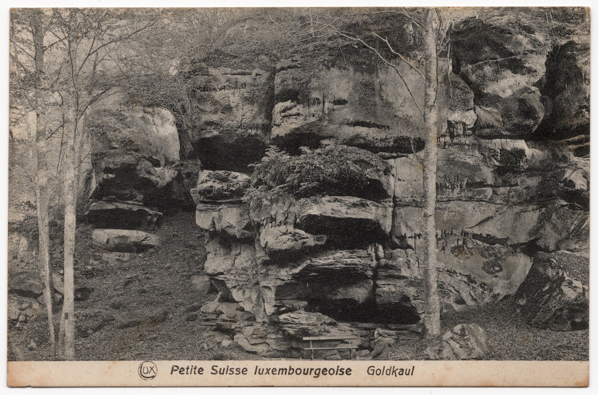 Zwart-wit ansichtkaart Goldkaul Petite Suisse luxembourgeoise, zandsteenformatie met berken, uitgave Schoren Luxemburg circa 1910
