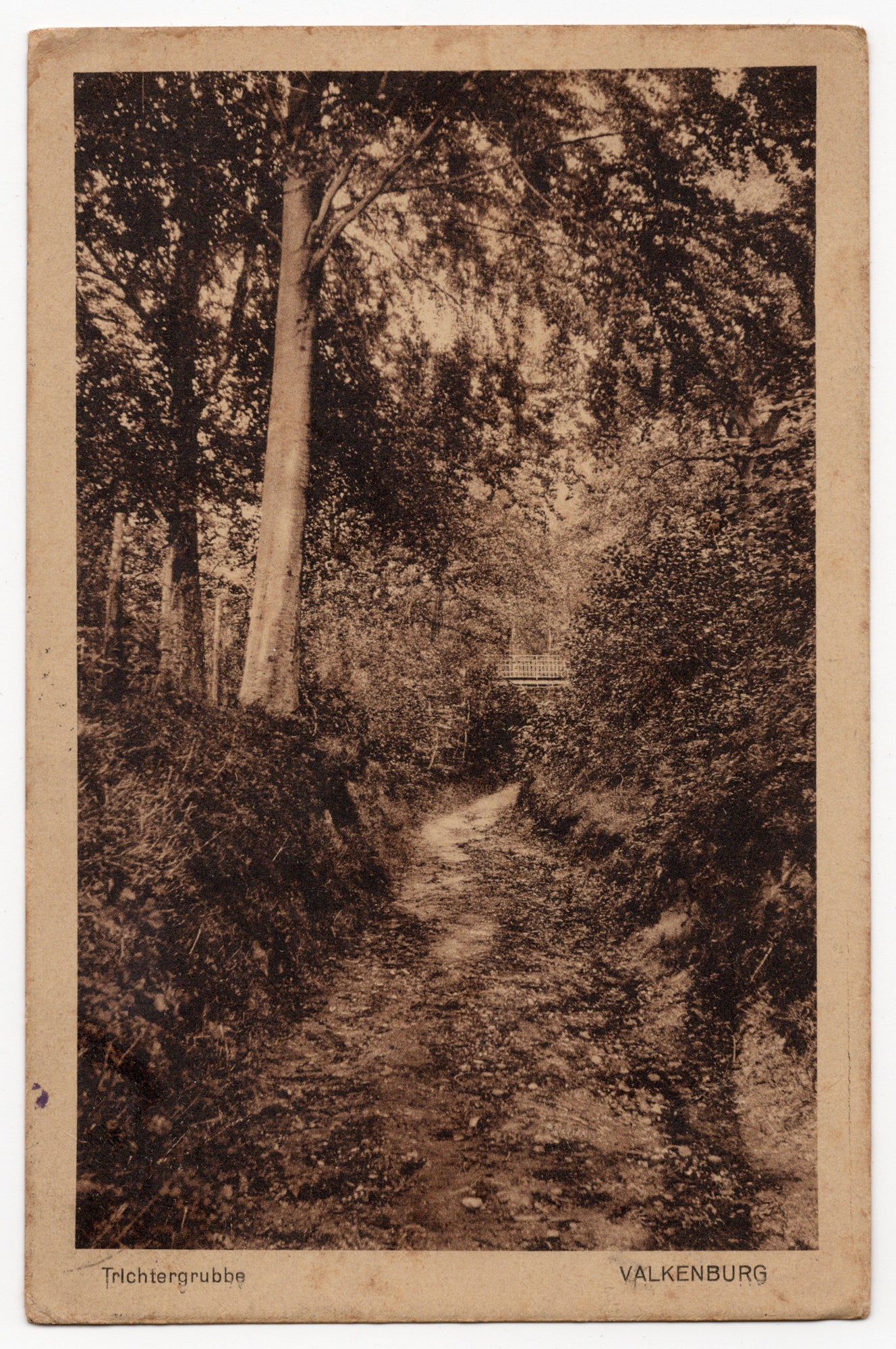 Nederlandse ansichtkaart 1922, sepia lichtdruk Trichtergrubbe holle weg bij Valkenburg Zuid-Limburg, uitgave Reinards-Hermans