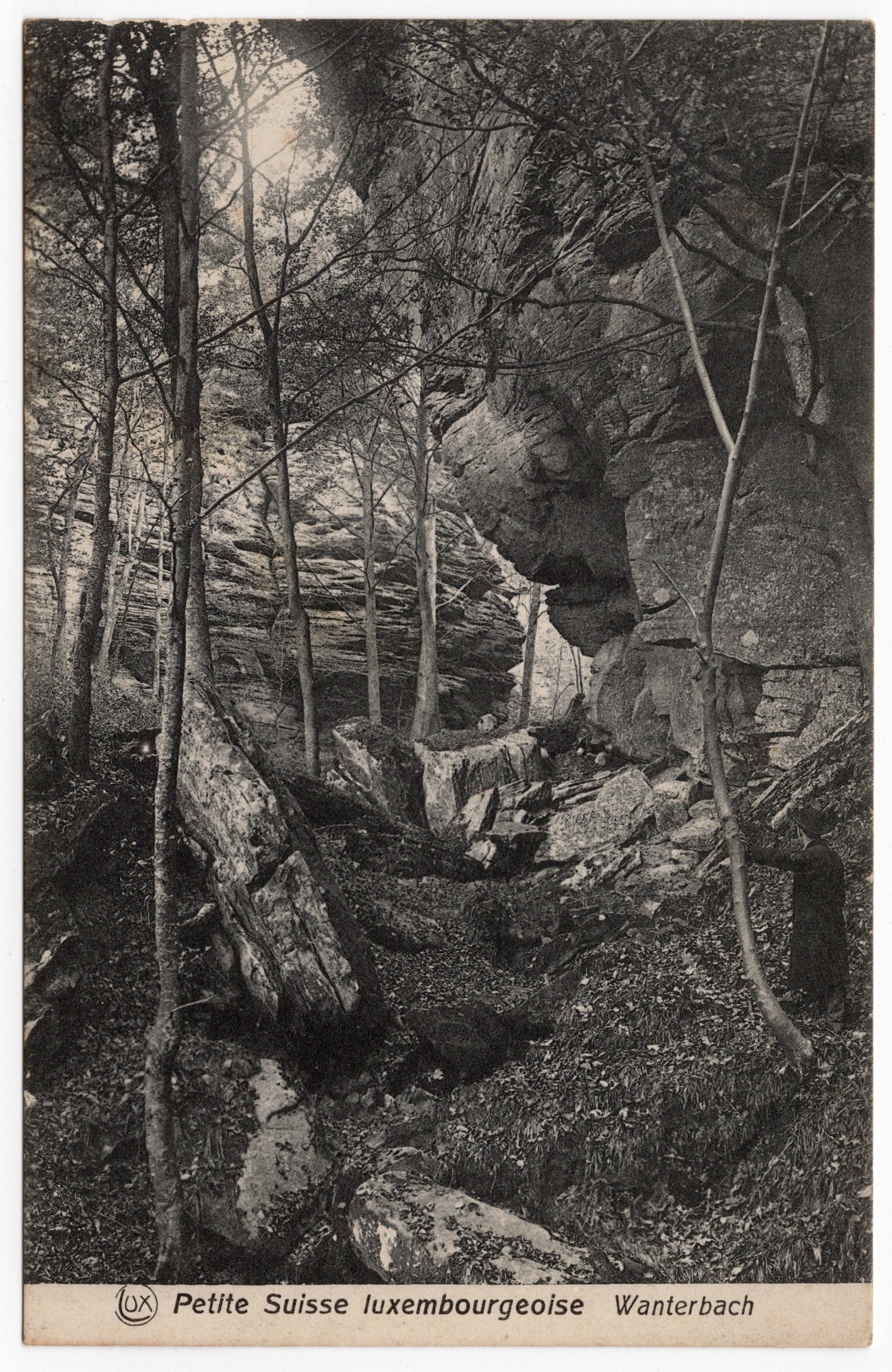 Zwart-wit ansichtkaart Wanterbach Petite Suisse luxembourgeoise, beekdal met berken en rotswand, uitgave Schoren Luxemburg circa 1910