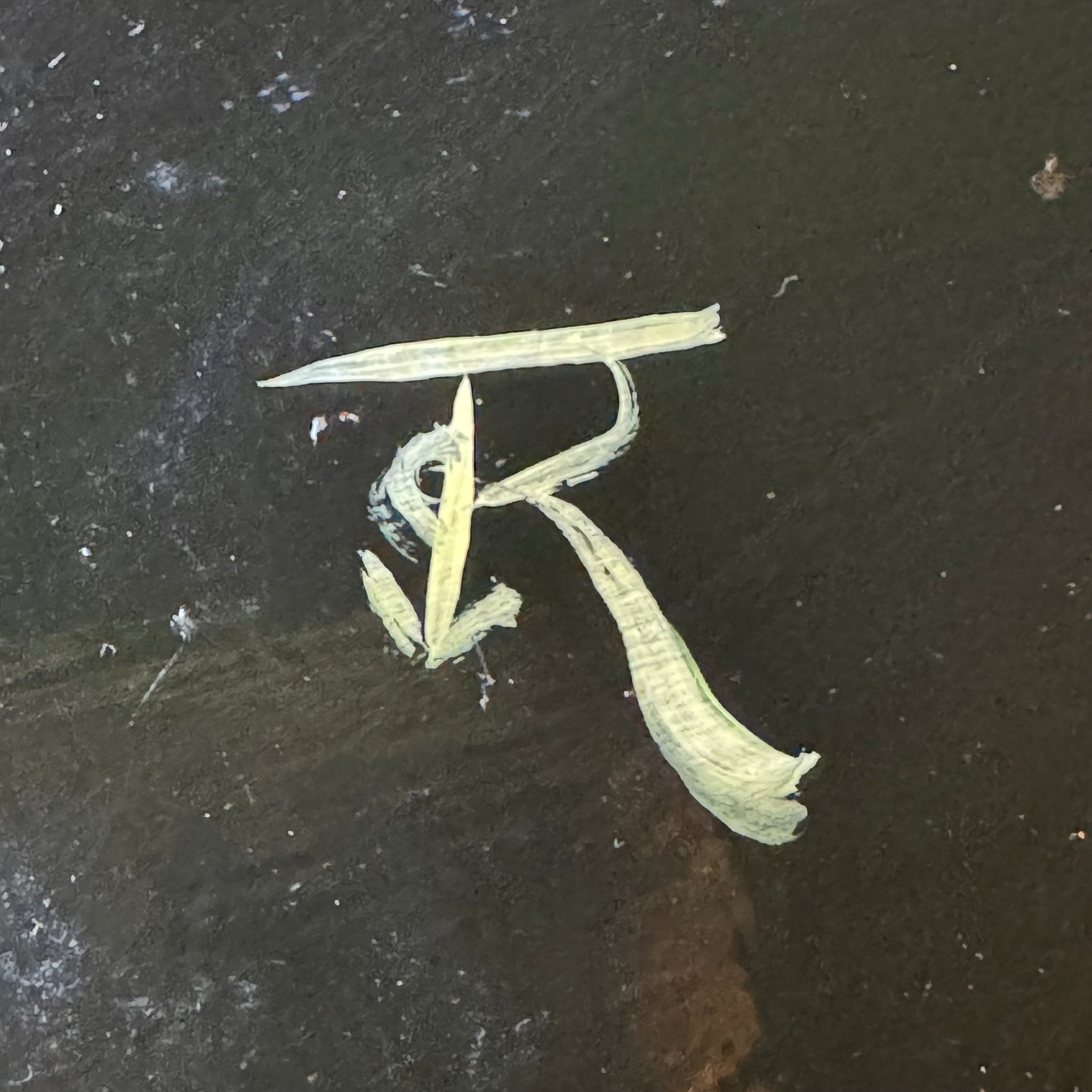 Handbeschilderd houten dienblad met bloemmotief en goudrand - The Collectionist