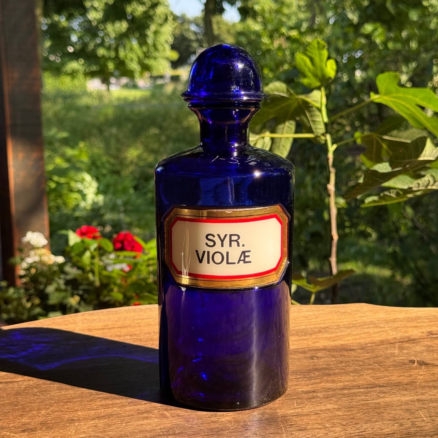 (Kopie) Xx - The Collectionist