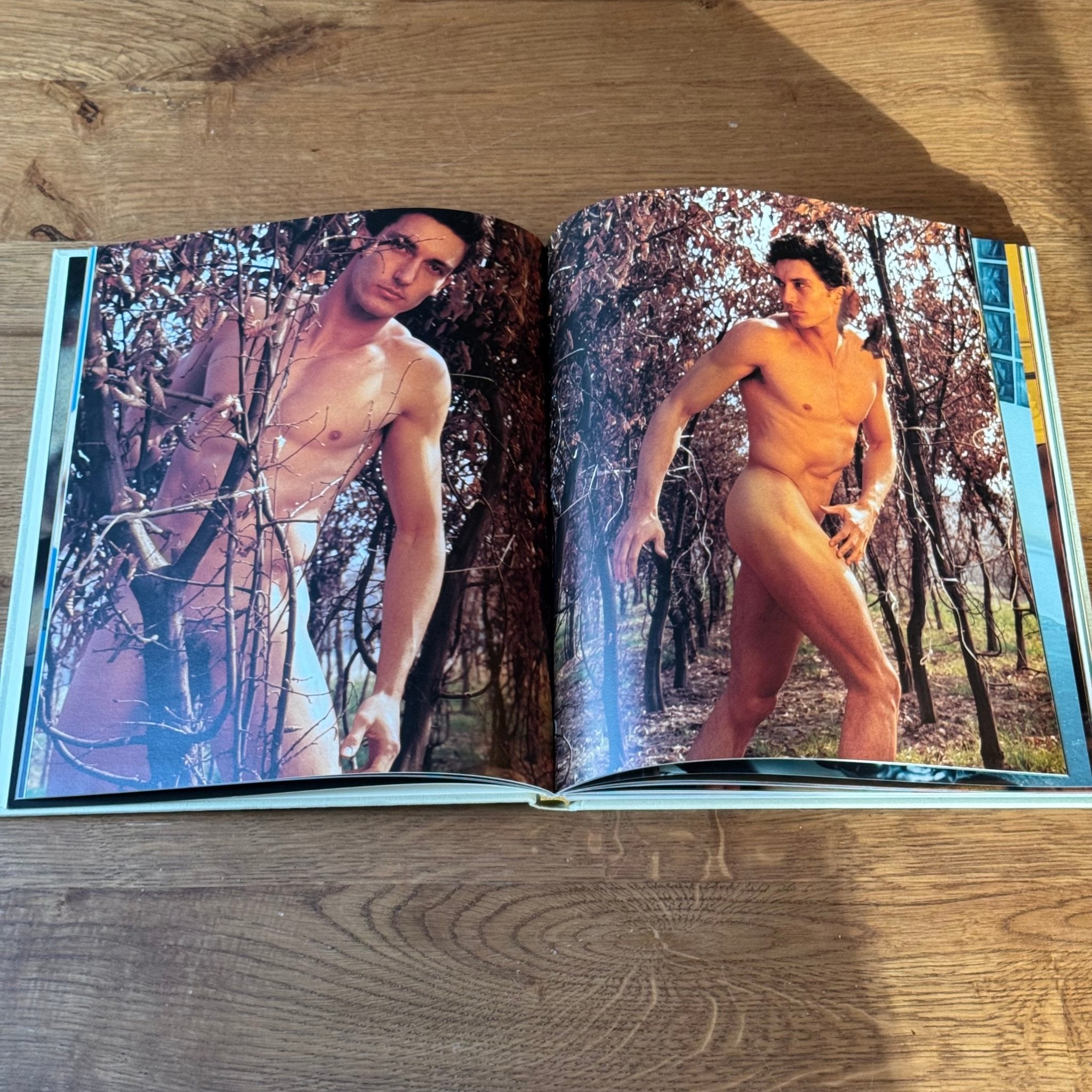 Naked Life – Julian Hargreaves – Mannenfotografie in Luxe Linnen Hardcover (2000) - The Collectionist