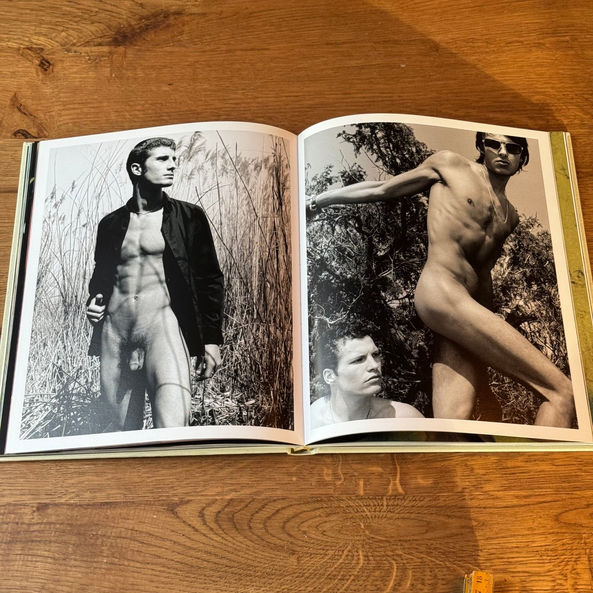 Naked Life – Julian Hargreaves – Mannenfotografie in Luxe Linnen Hardcover (2000) - The Collectionist