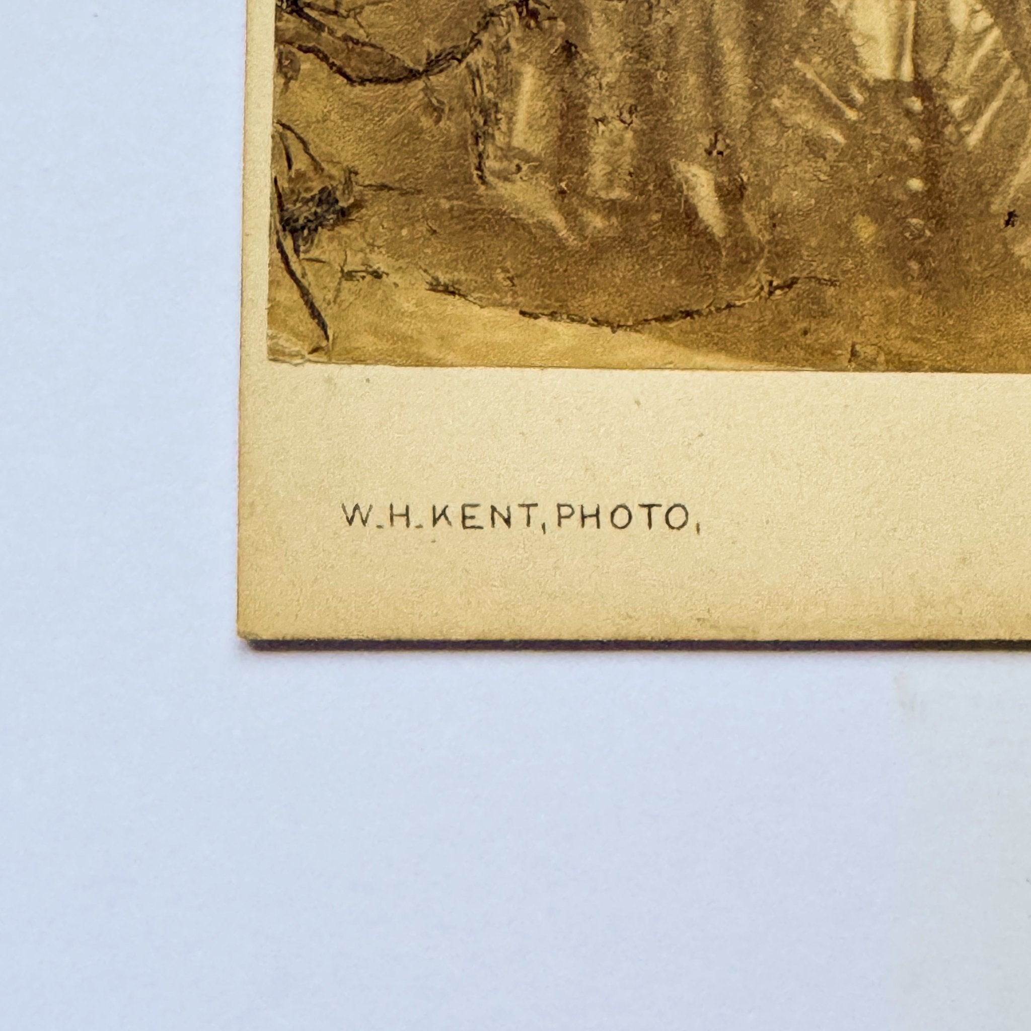 Portret van een vrouw in donkere japon - W.H. Kent, Knightsbridge Londen (ca. 1865) - The Collectionist