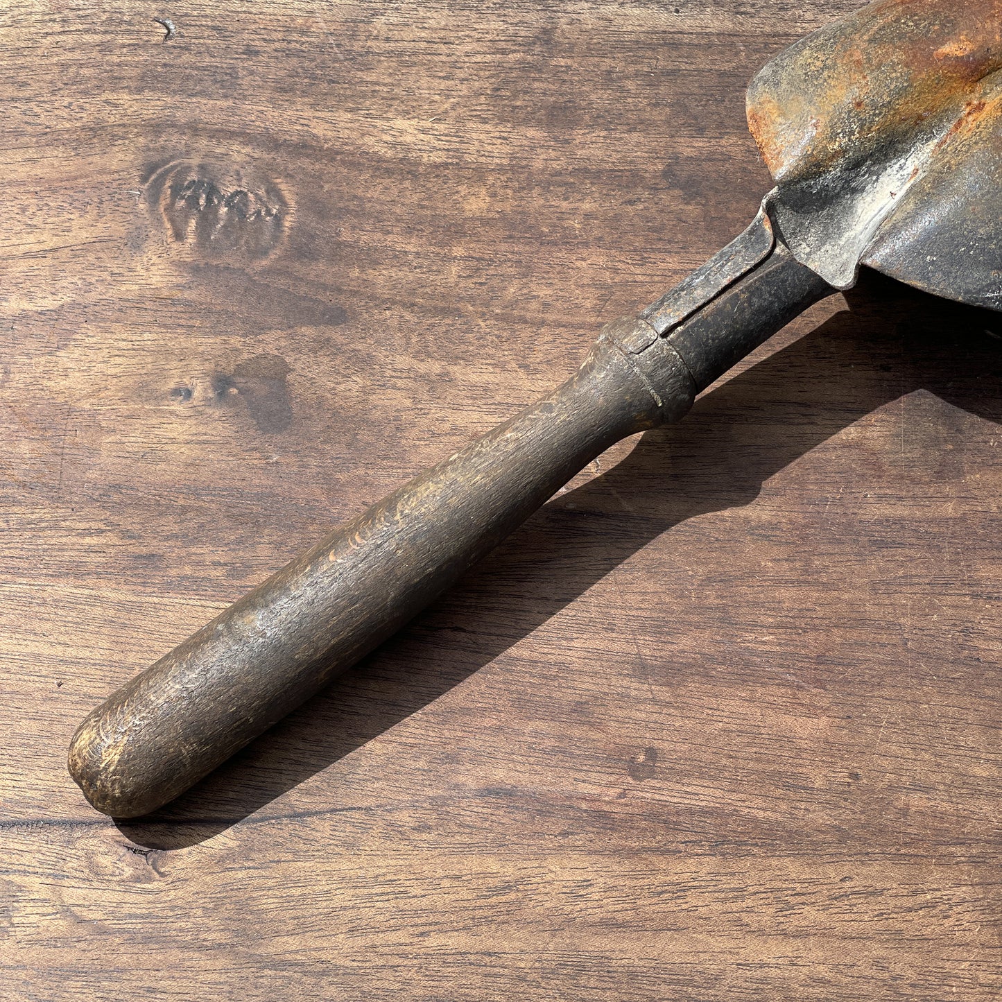 Antieke Kolenschep - Bamestra Curiosa