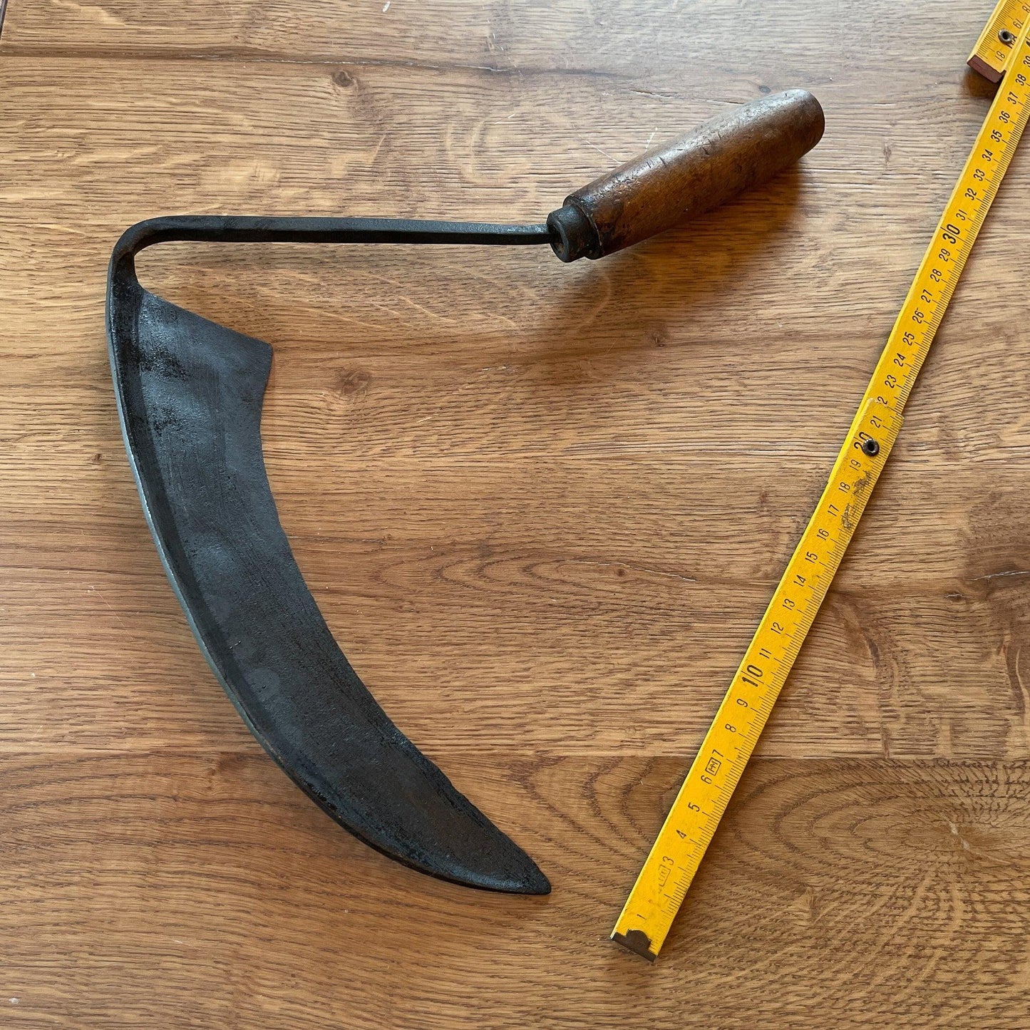 Antieke handzeis - Bamestra Curiosa