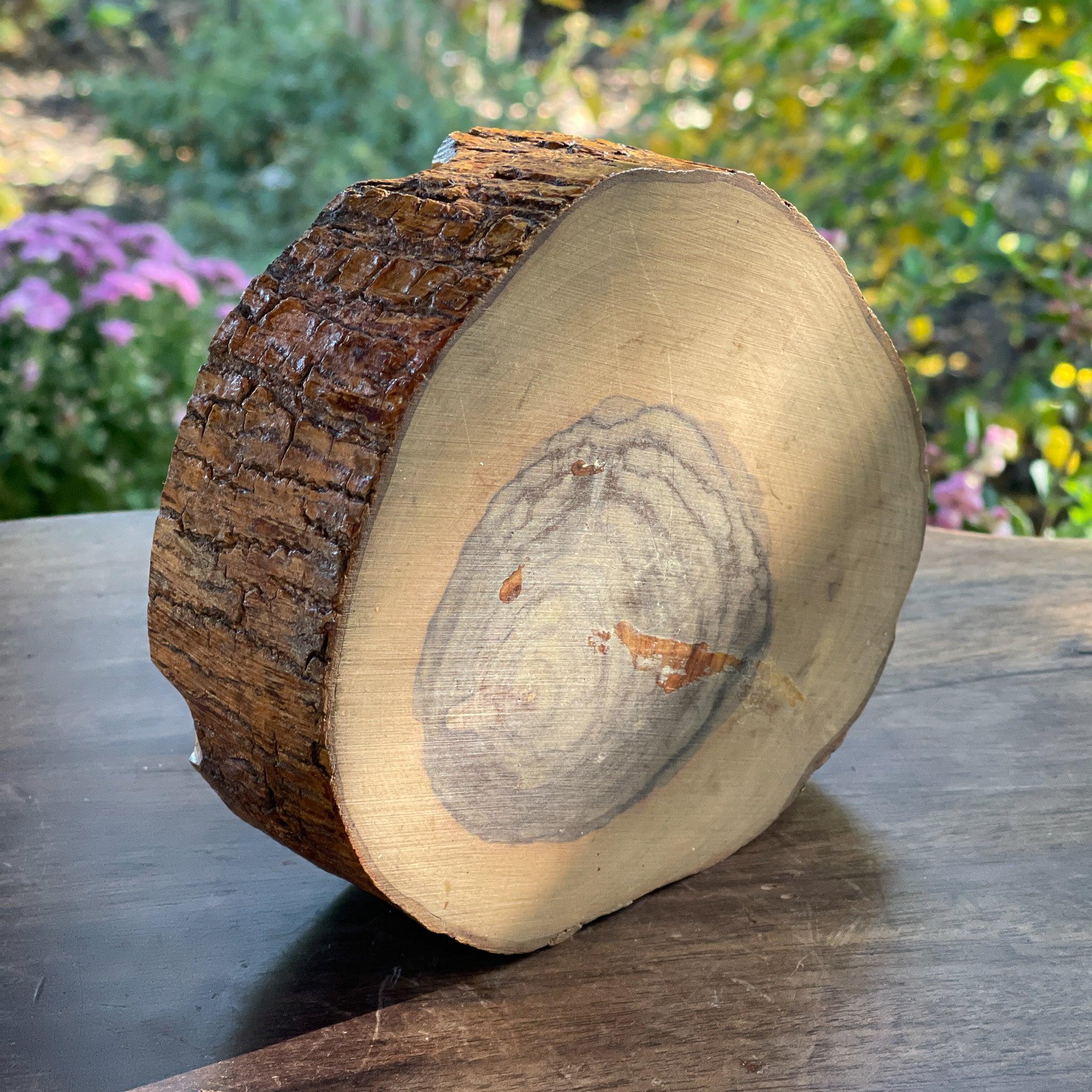 Asbak gemaakt van zeldzaam Ziricote hout - The Collectionist