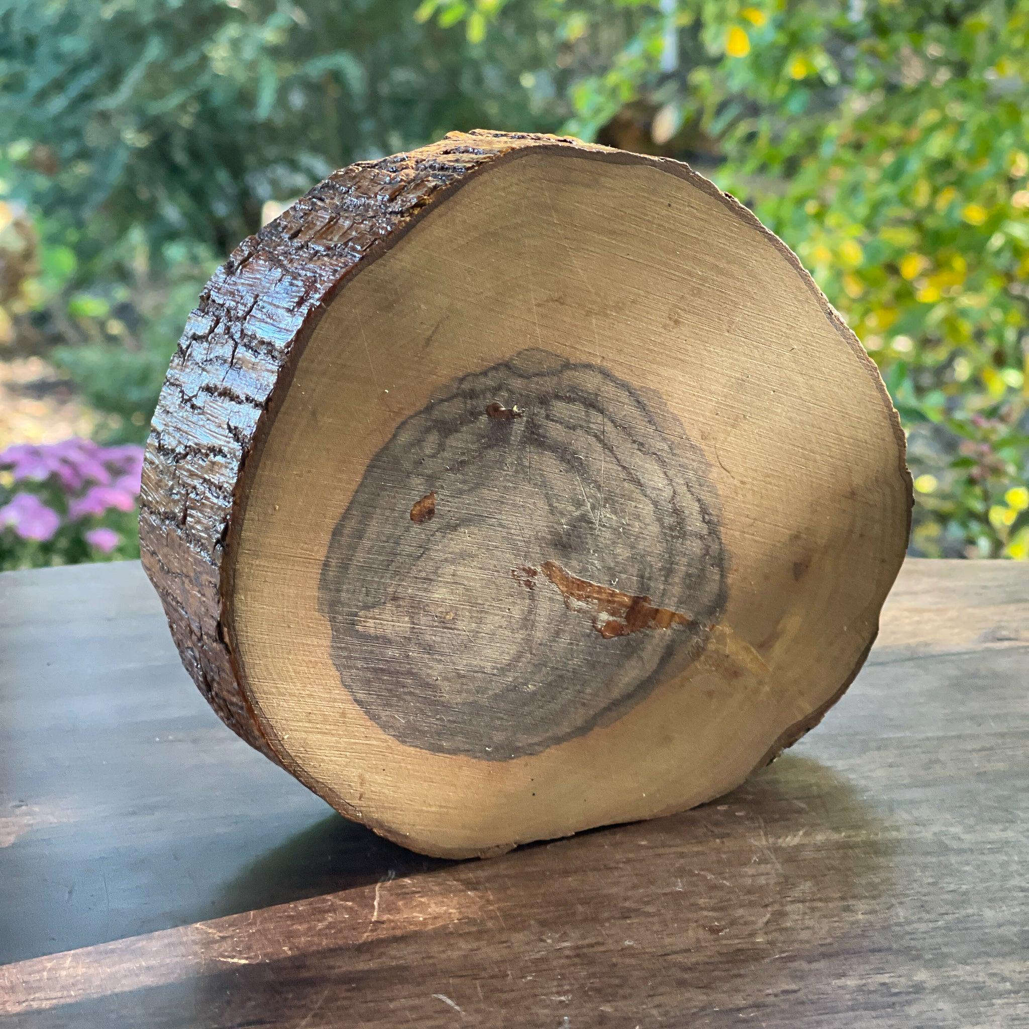 Asbak gemaakt van zeldzaam Ziricote hout - The Collectionist