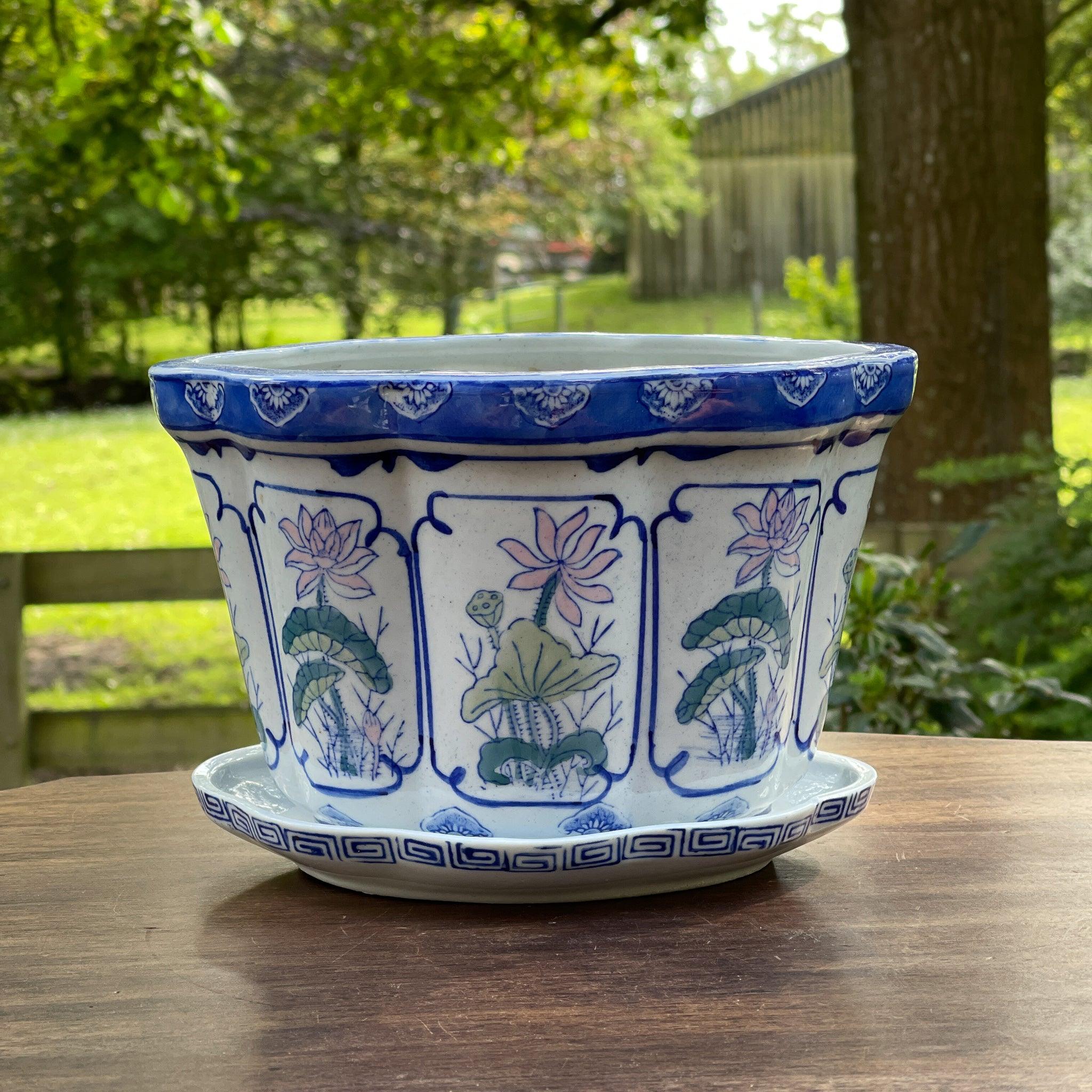 Bloempot met schaal - Bamestra Curiosa