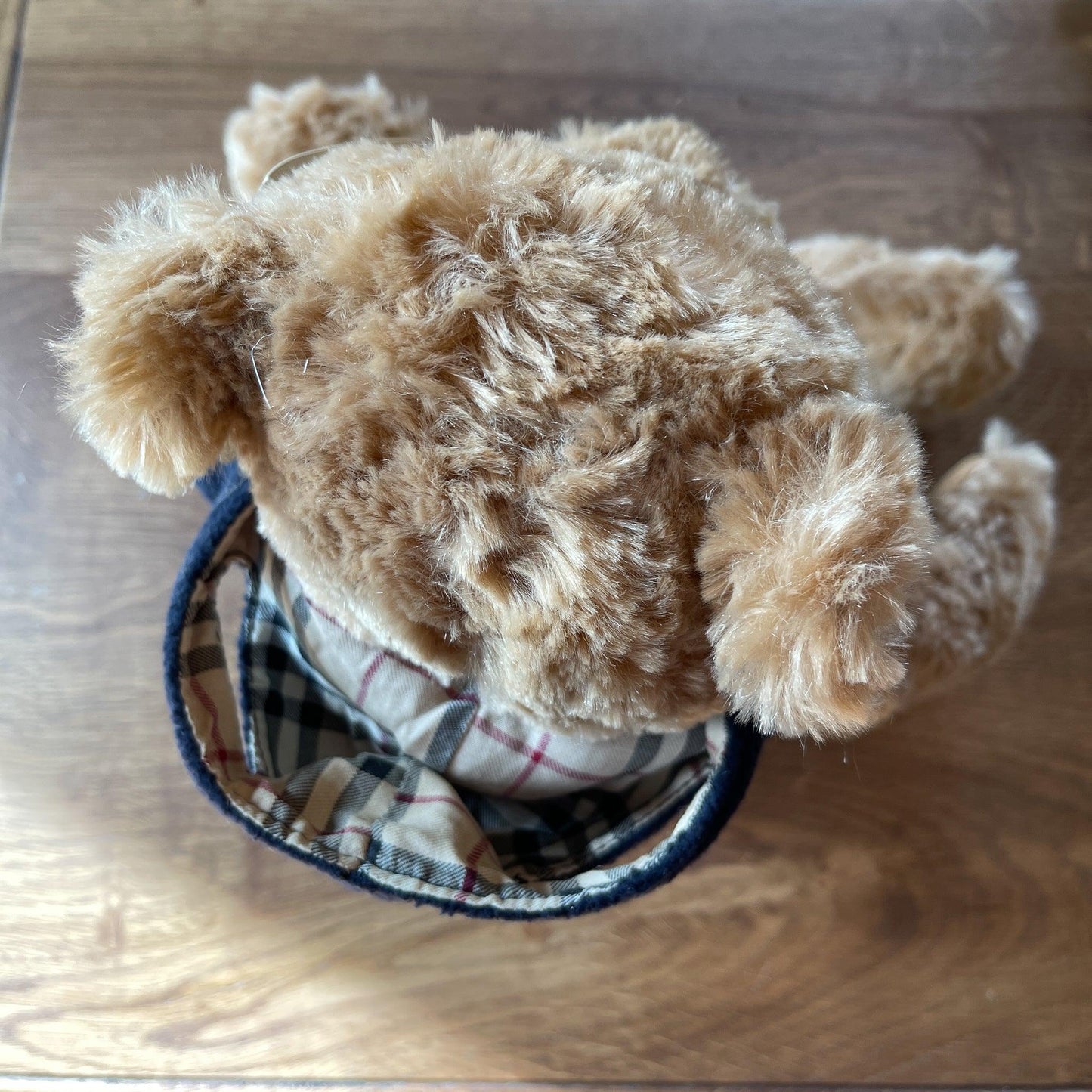 Burberry Teddybeer - Bamestra Curiosa