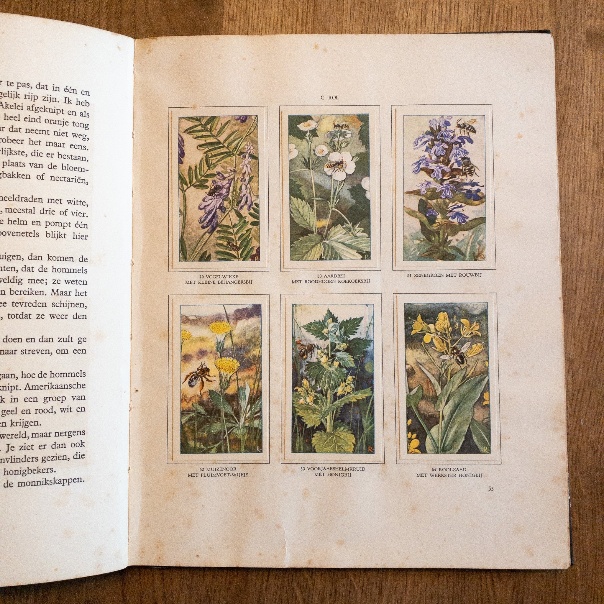 De Bloemen En Haar Vrienden - The Collectionist