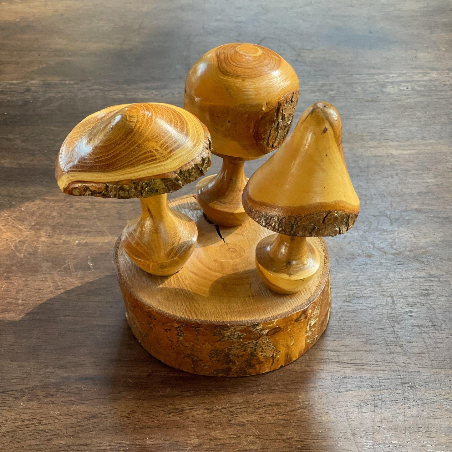 Houtsnijwerk paddestoelen op boomstam - Bamestra Curiosa