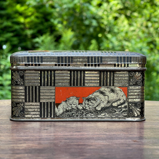 Jamin poezen blik - Bamestra Curiosa