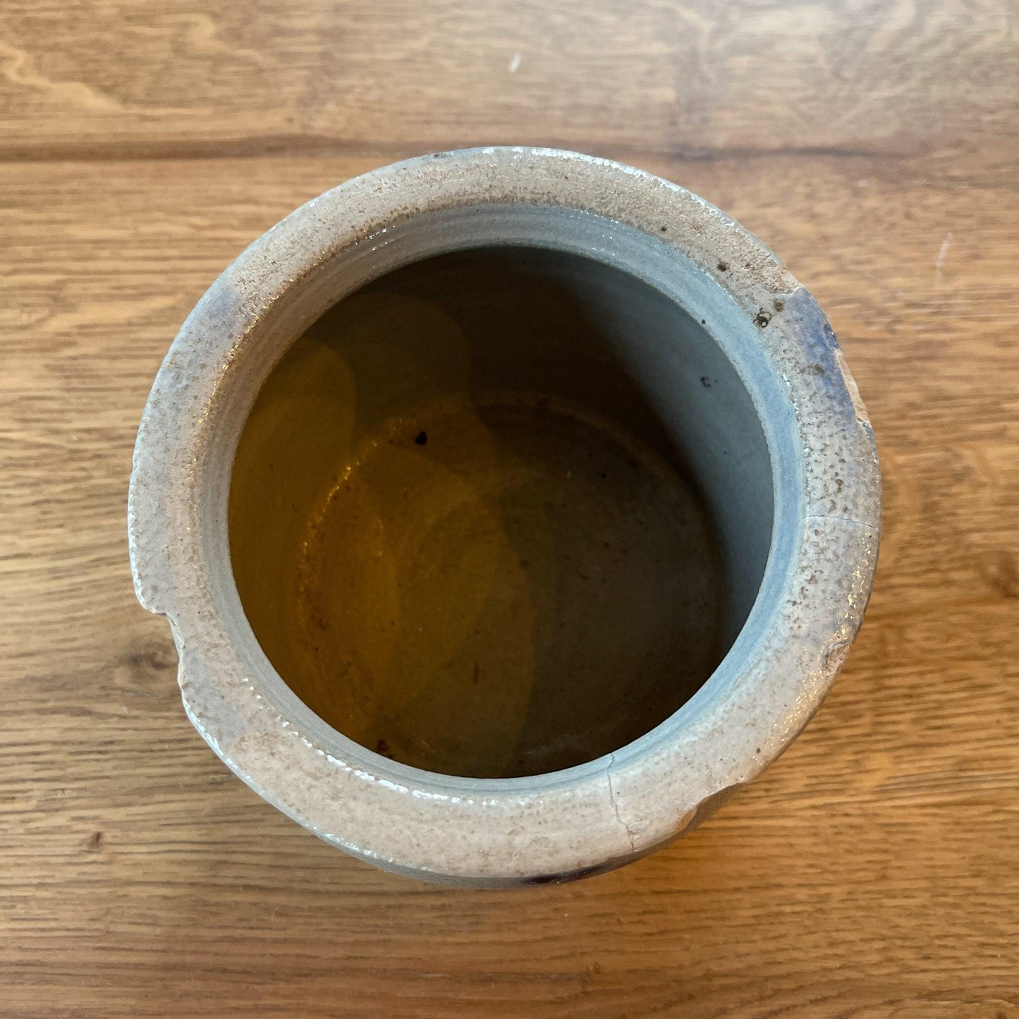 Keuls aardewerk pot - Bamestra Curiosa