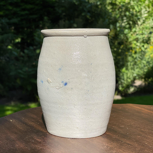 Keulse aardewerk ansjovis pot - Bamestra Curiosa