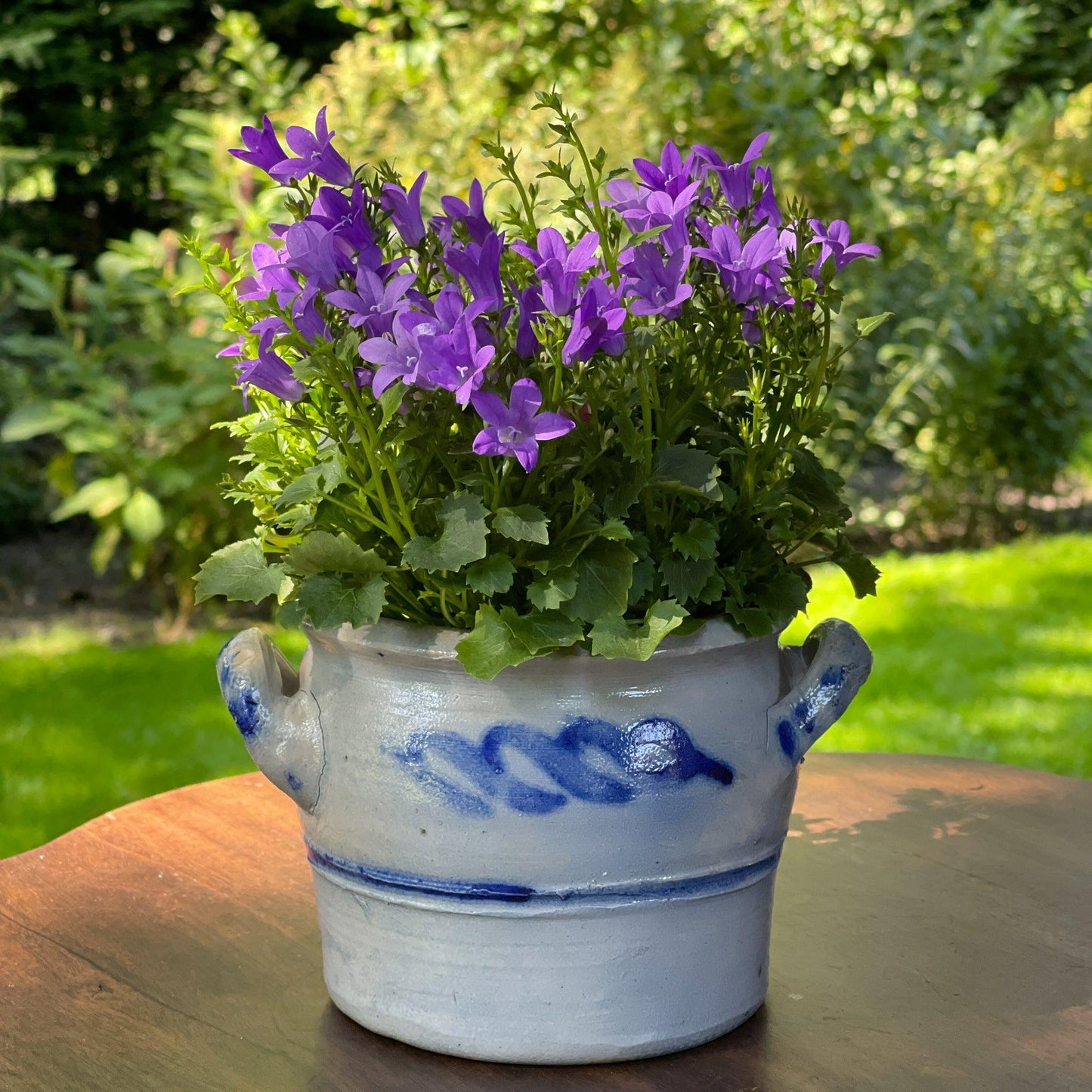 Keulse aardewerk pot / bloempot - Bamestra Curiosa