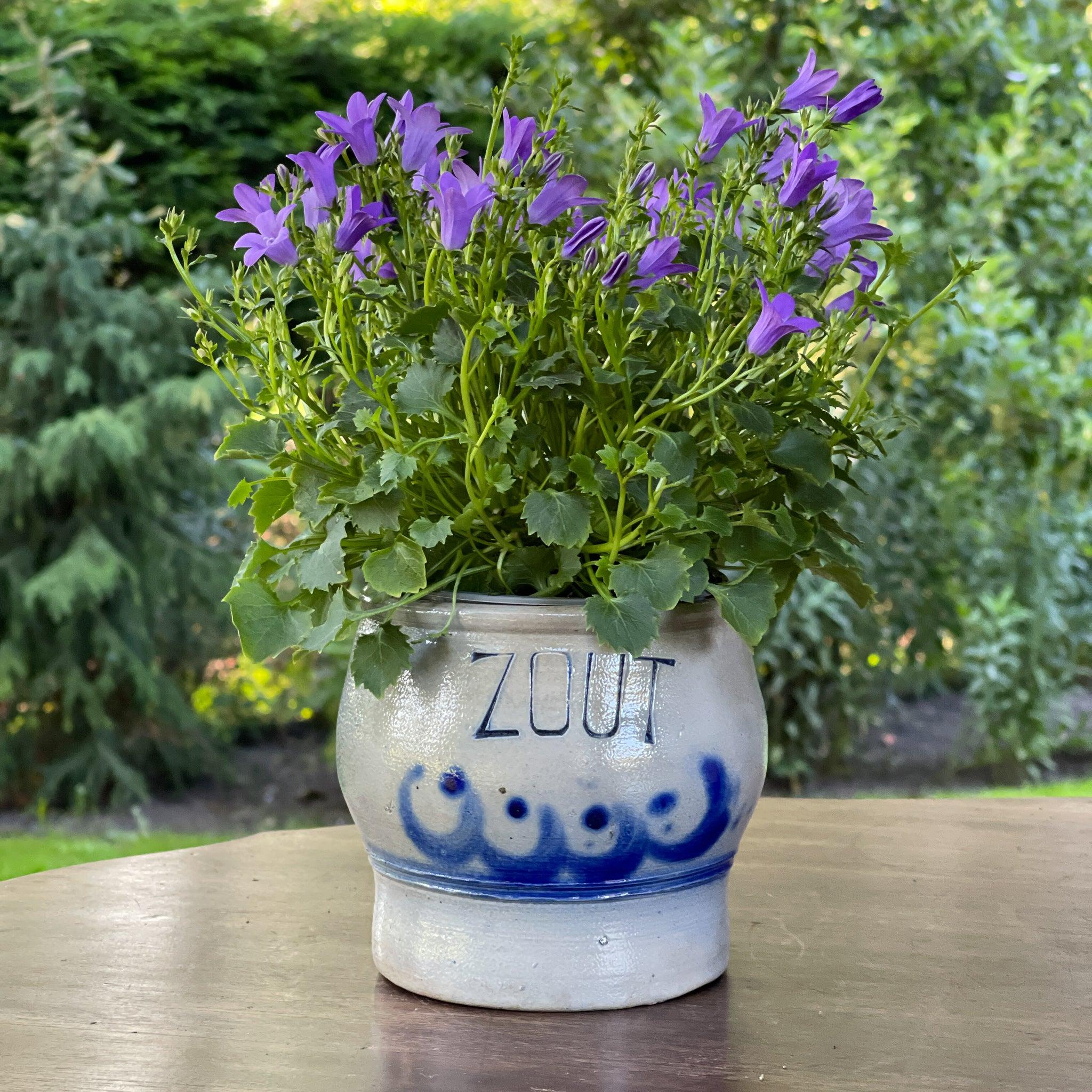 Keulse aardewerk zout pot - The Collectionist