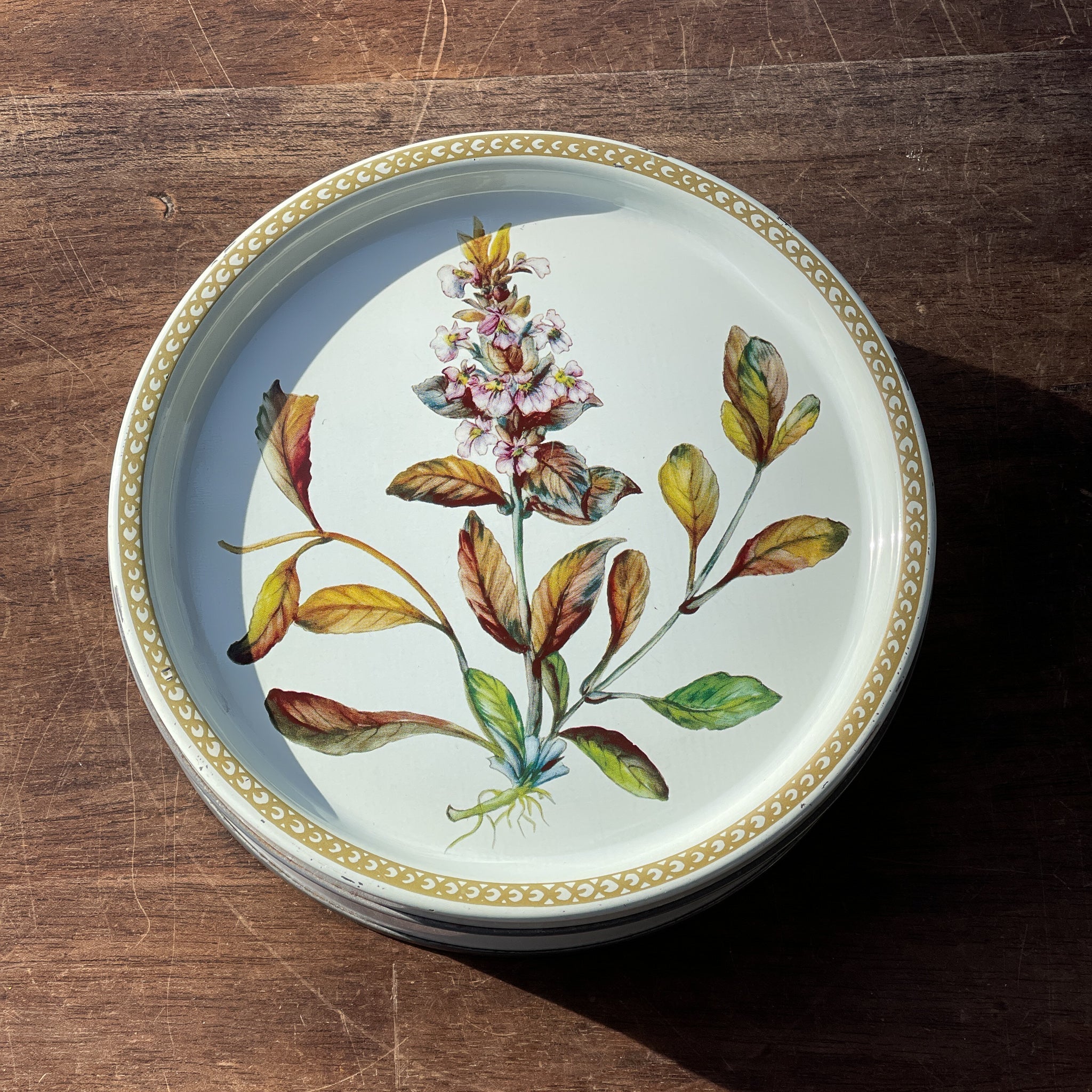 Koekblik Met Botanische Afbeelding - The Collectionist