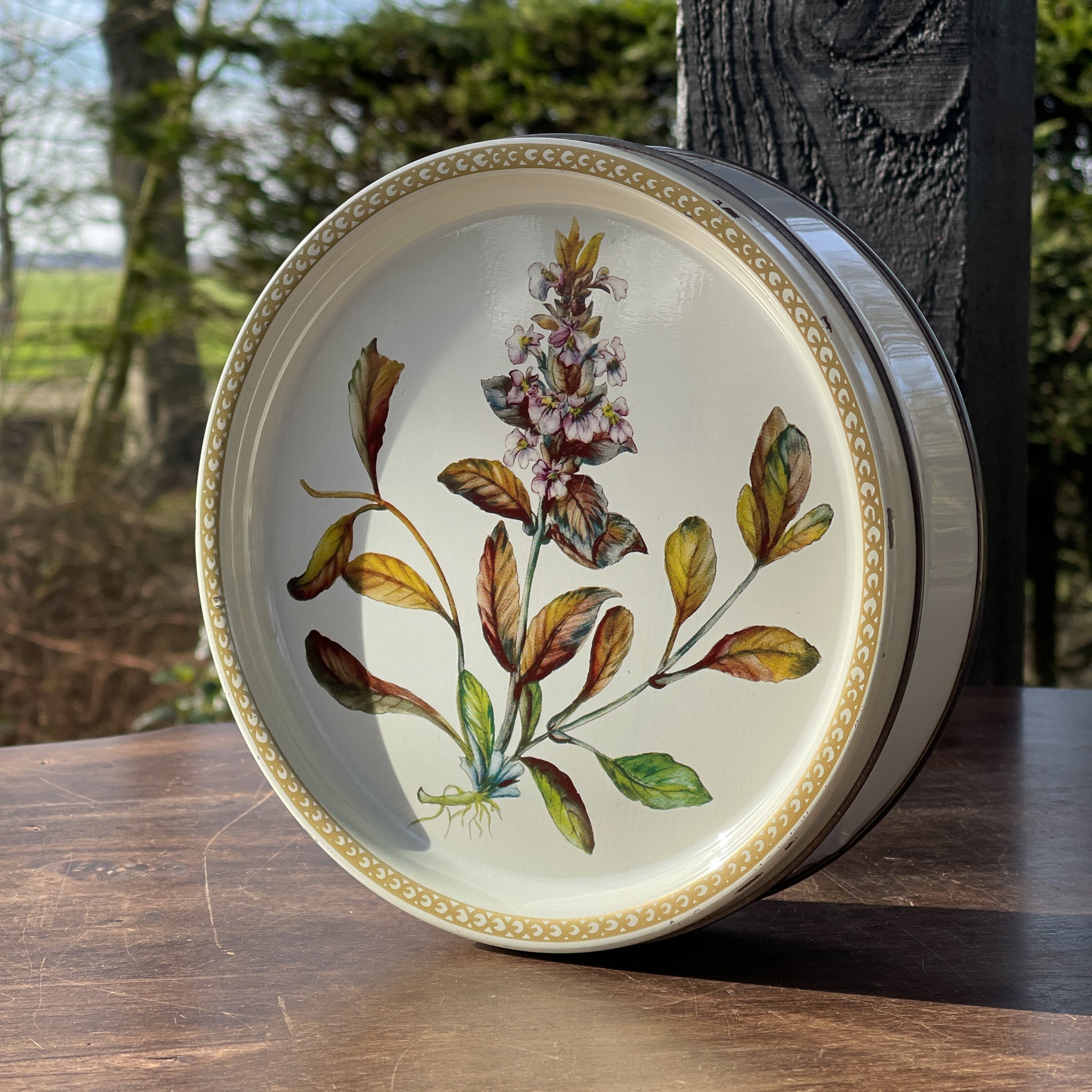 Koekblik Met Botanische Afbeelding - The Collectionist