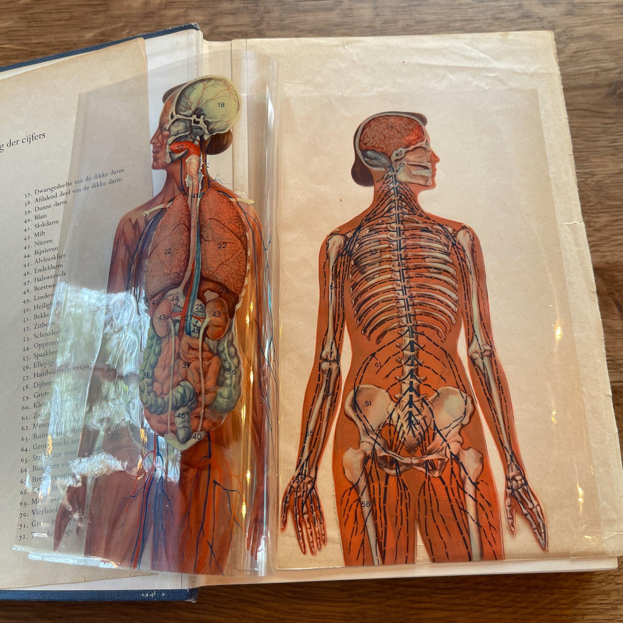 Medische W.P. 1 & 2 Elsevier - The Collectionist