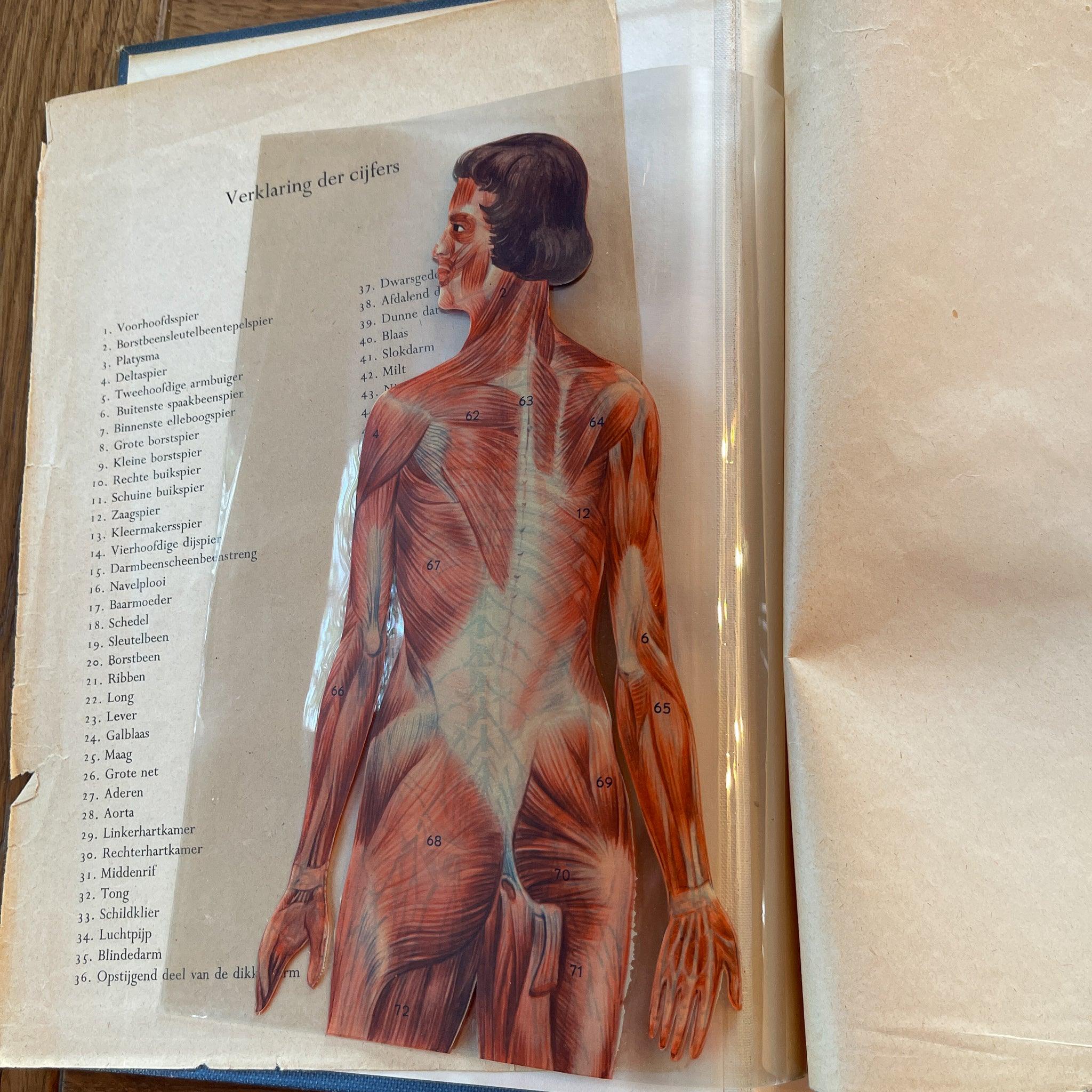 Medische W.P. 1 & 2 Elsevier - The Collectionist