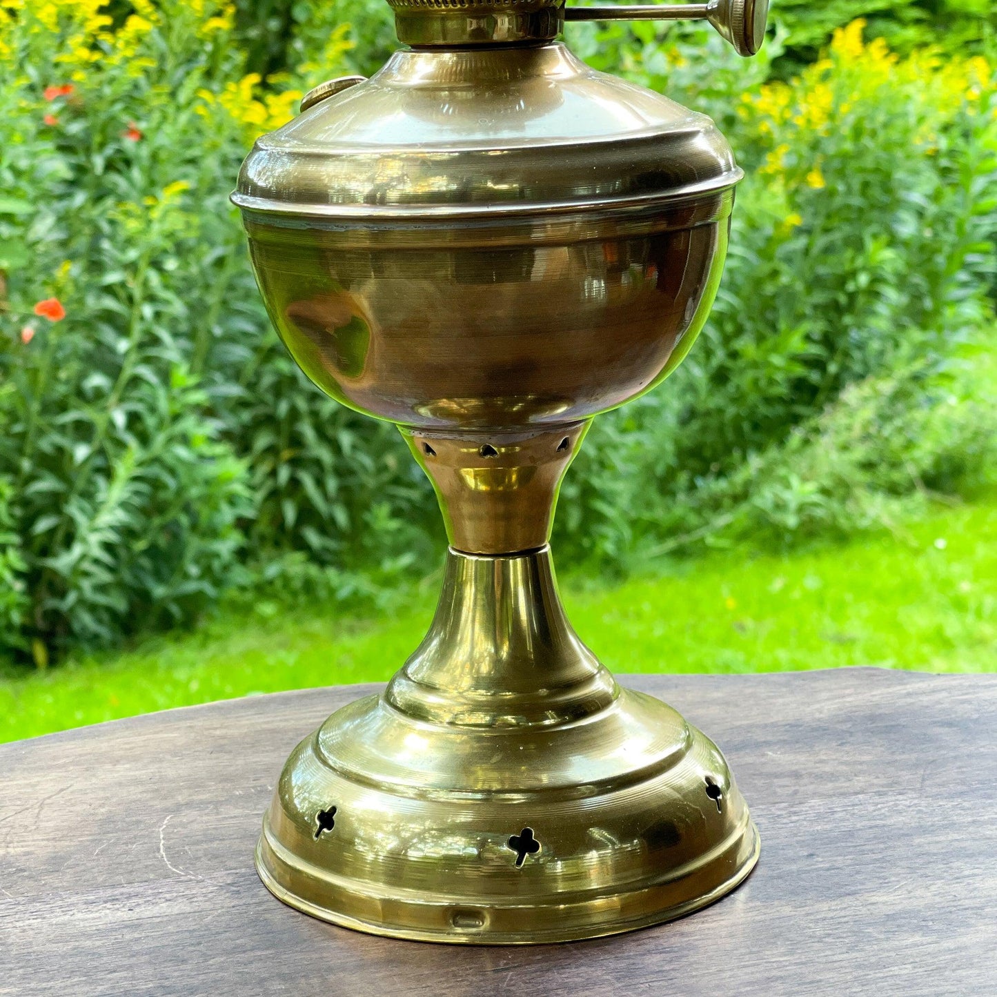 Olielamp - Bamestra Curiosa