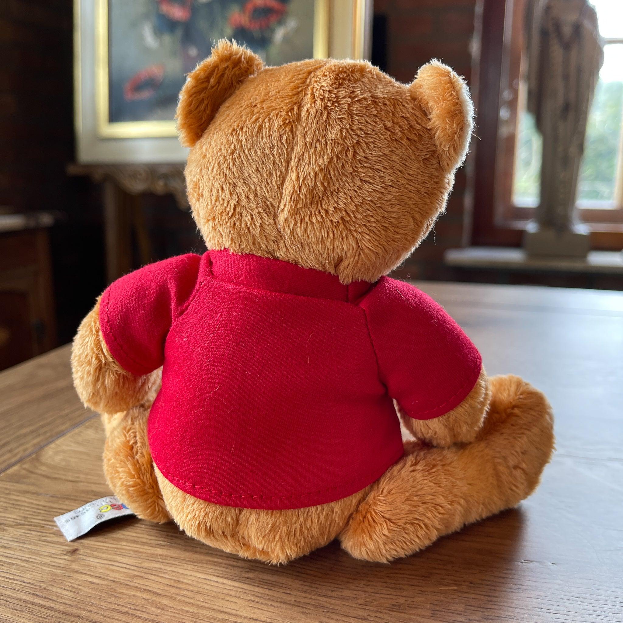 Teddybeer I Love You - The Collectionist