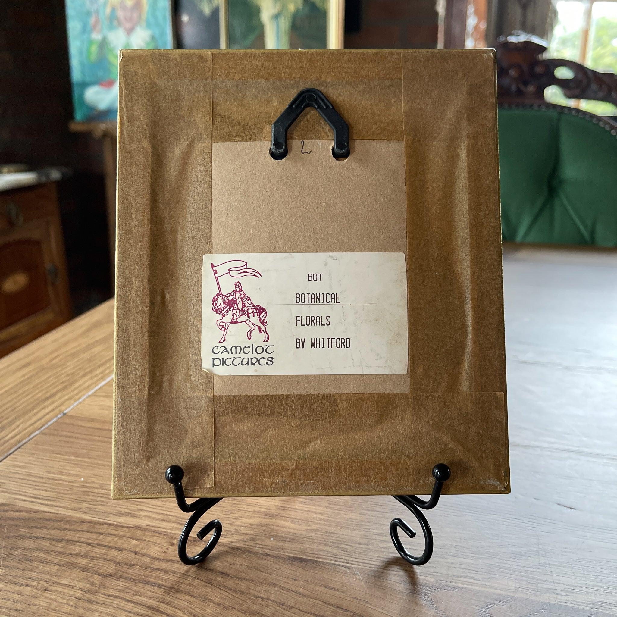 Vier schilderijtjes Botanical Florals (Filippa Whitford) - The Collectionist