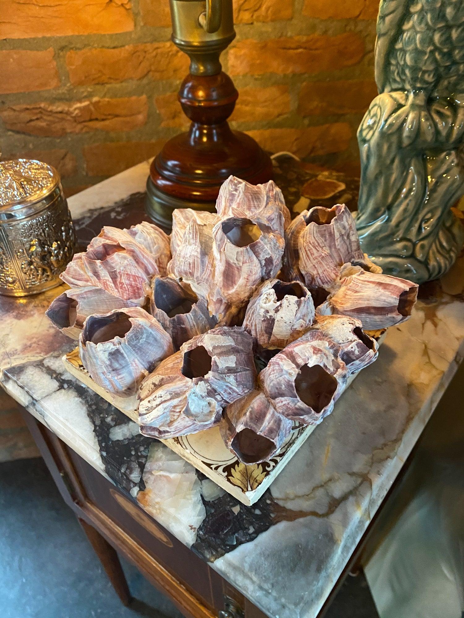 Zeepokken - The Collectionist