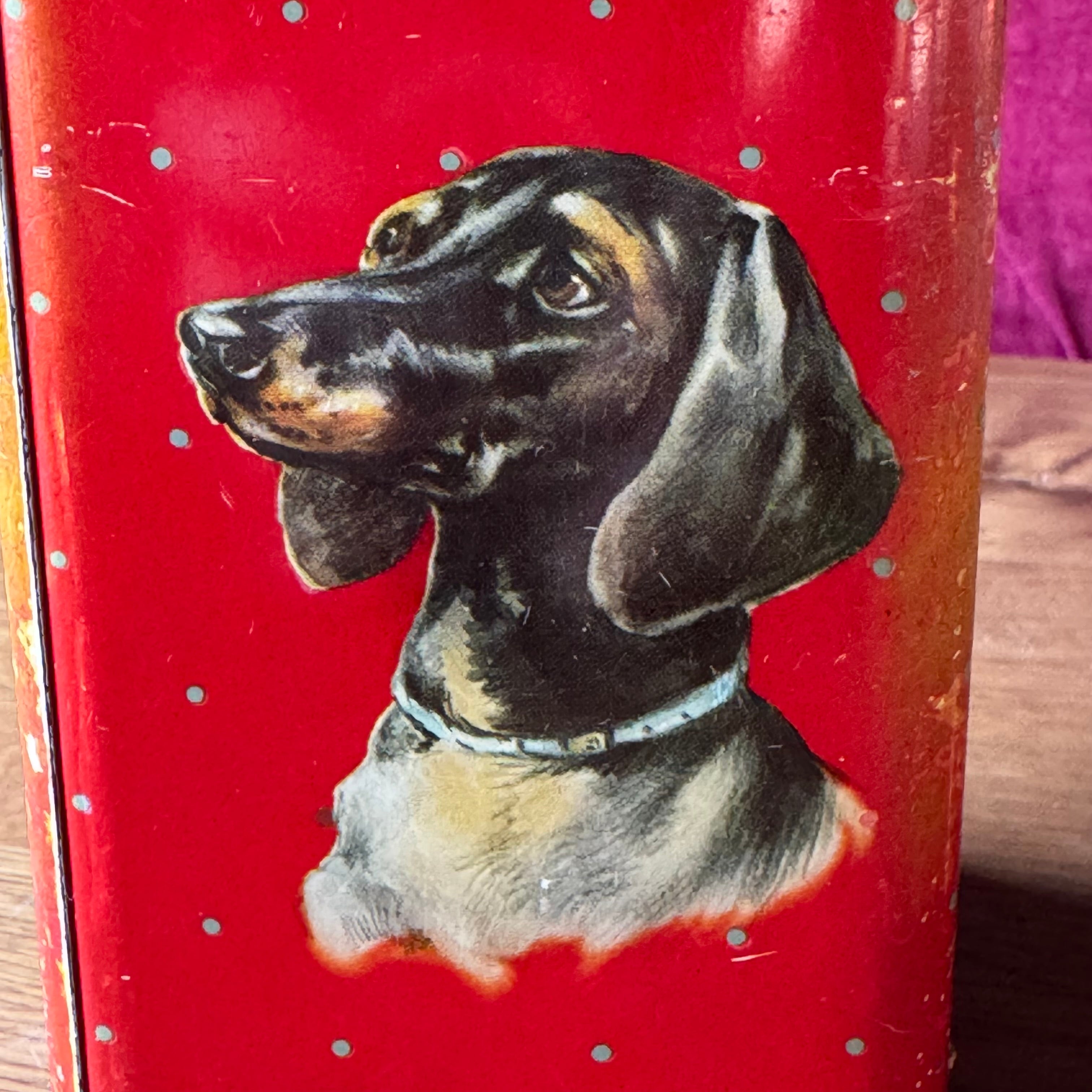 Vintage Hundedose – Dose mit Spaniel- und Terrier-Illustrationen (1950er–60er Jahre)