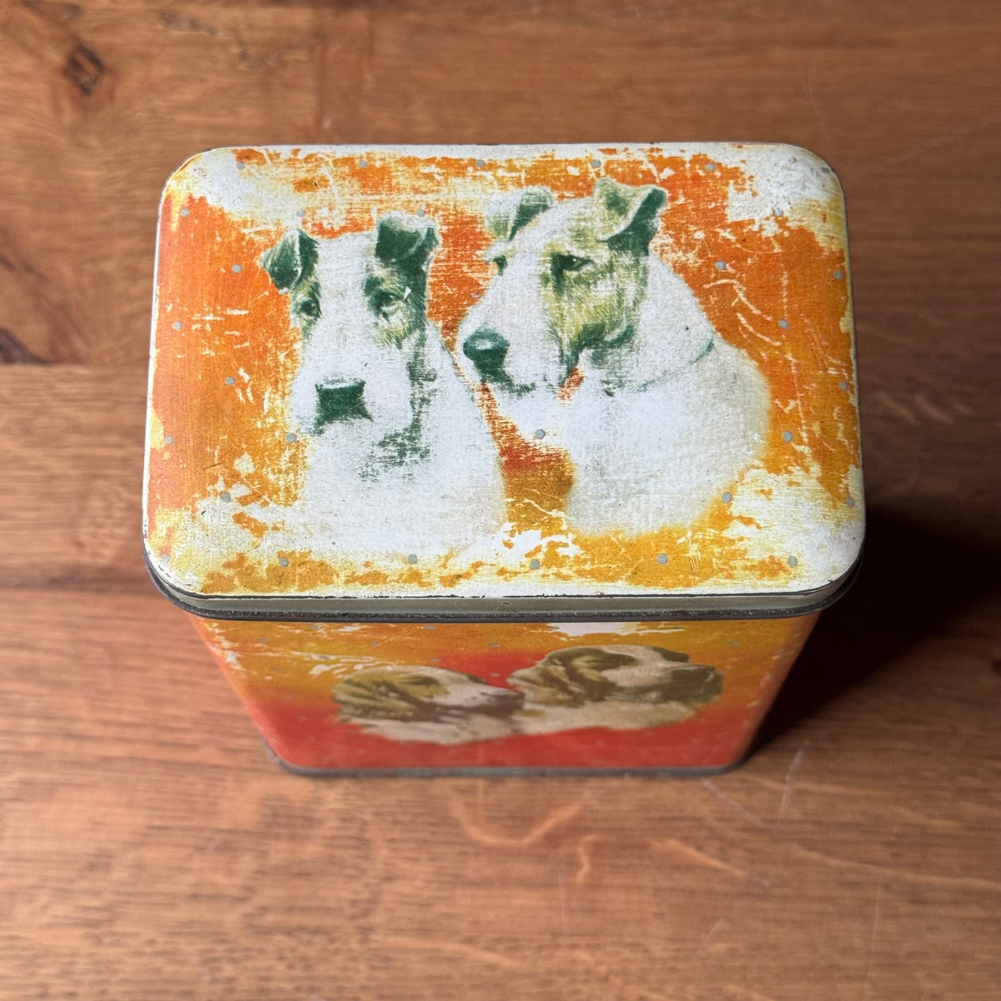 Vintage hondenblik – blik met spaniel & terrier illustraties (jaren 50–60)