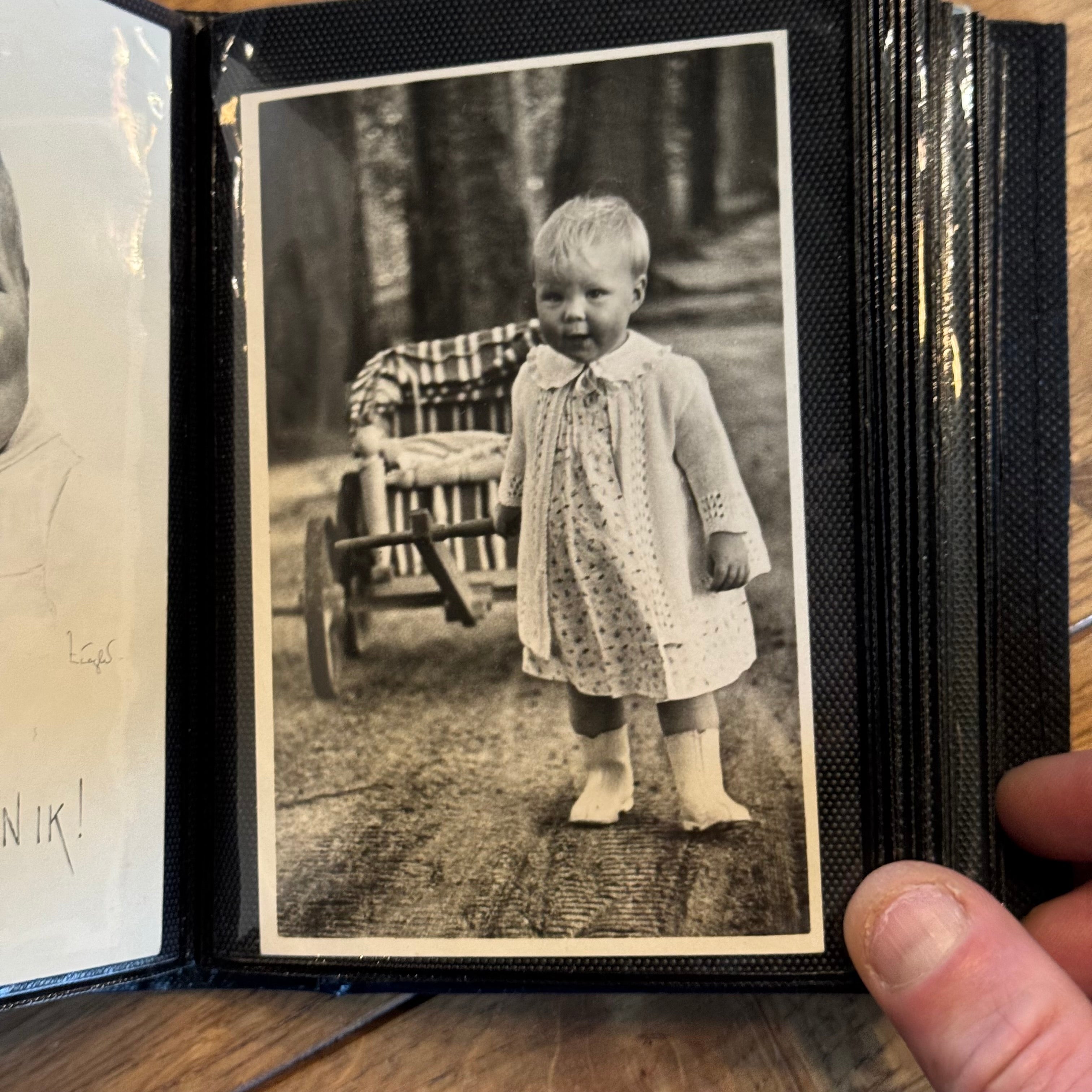 Sammleralbum des Königshauses (1898–1948)