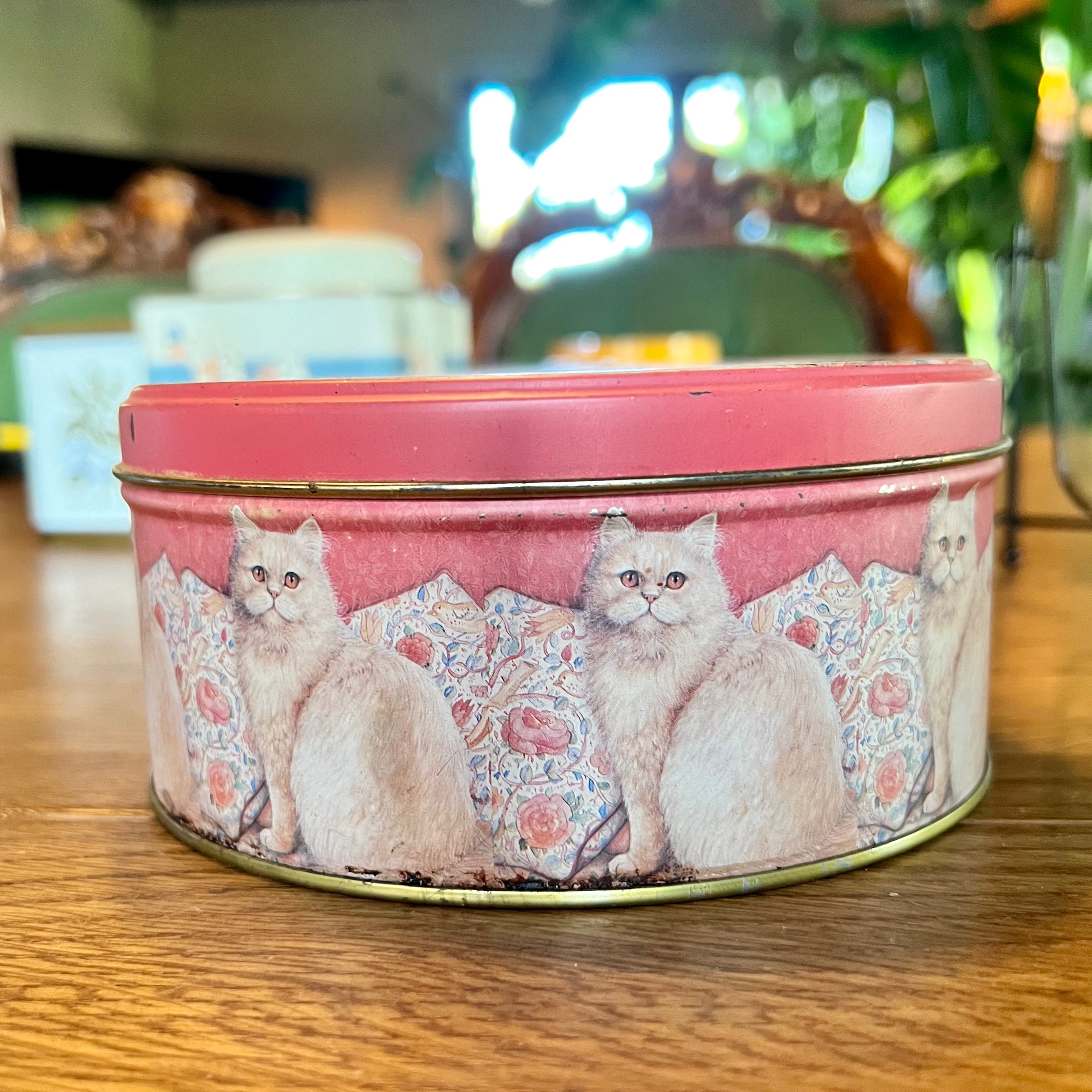 Poezen Blik The Collectionist