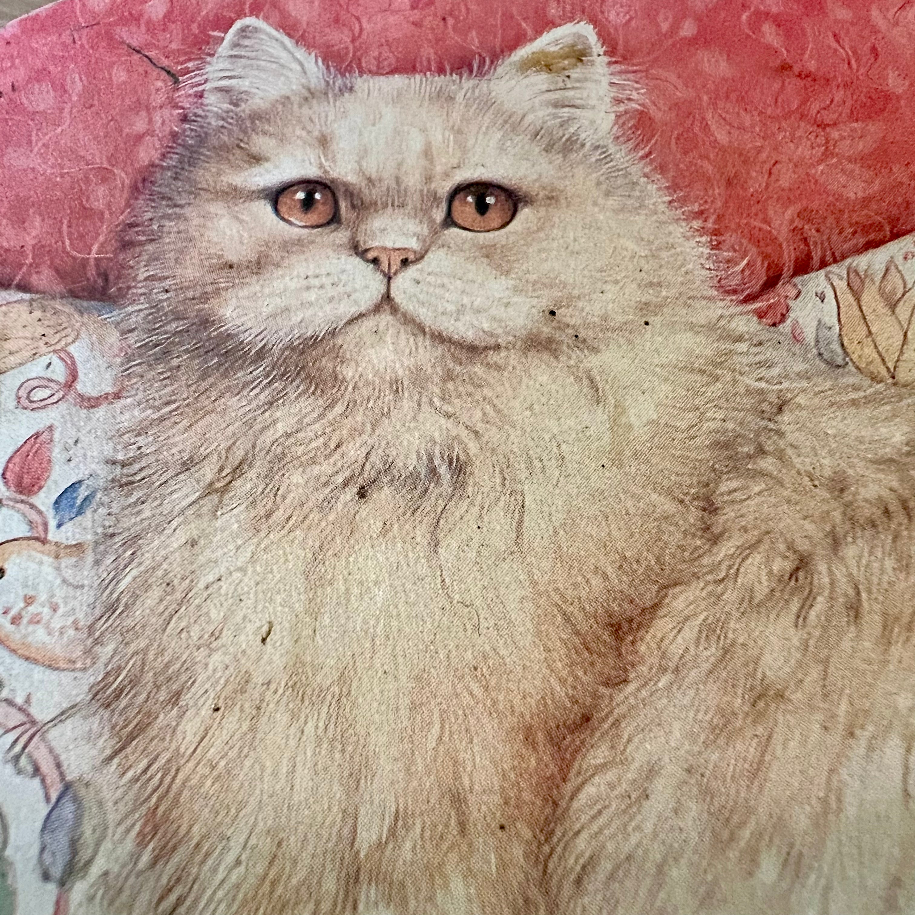 Poezen Blik The Collectionist