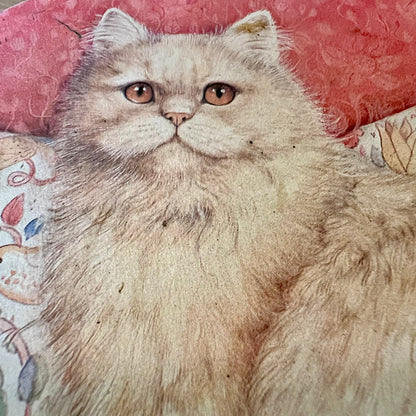 Poezen Blik The Collectionist