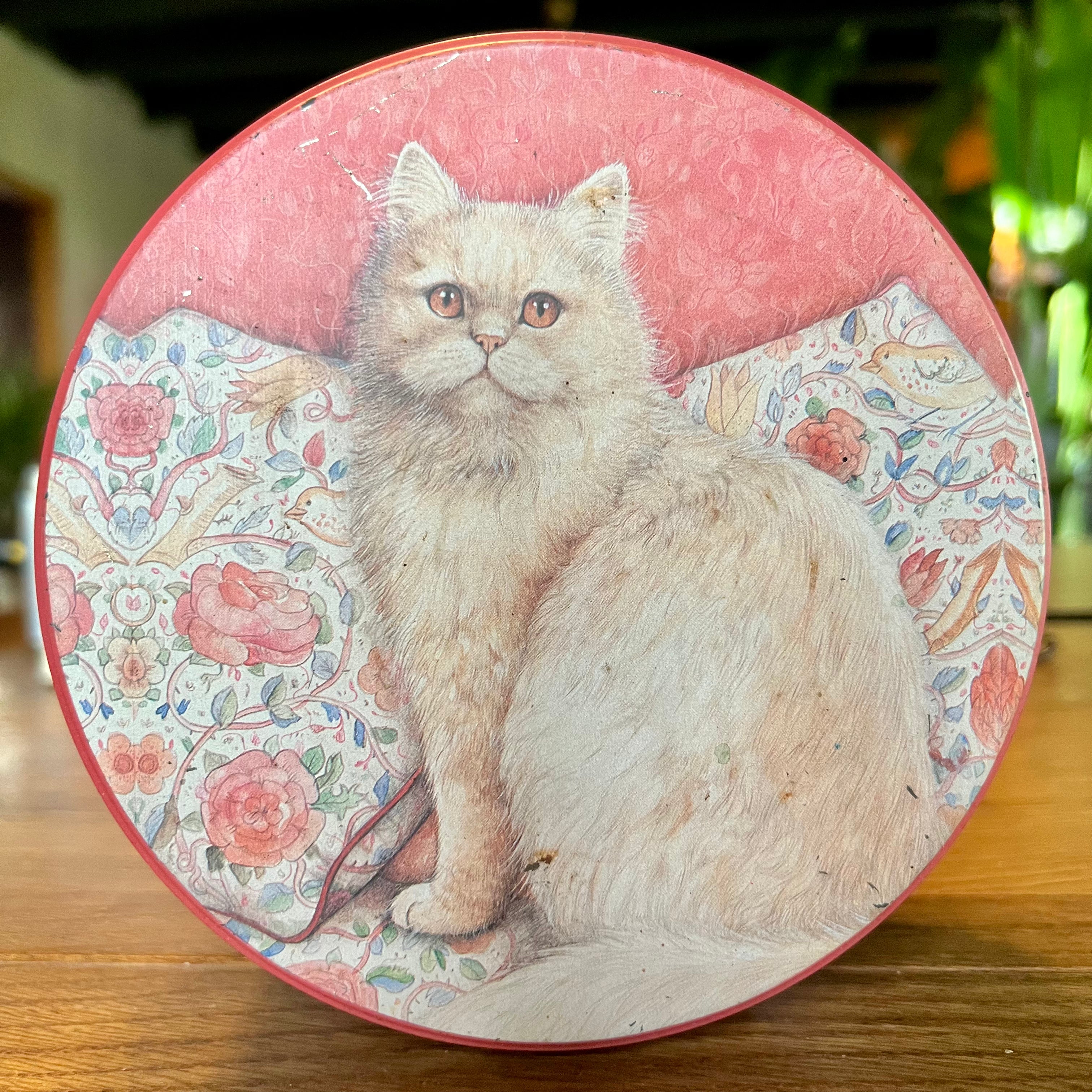 Poezen Blik The Collectionist