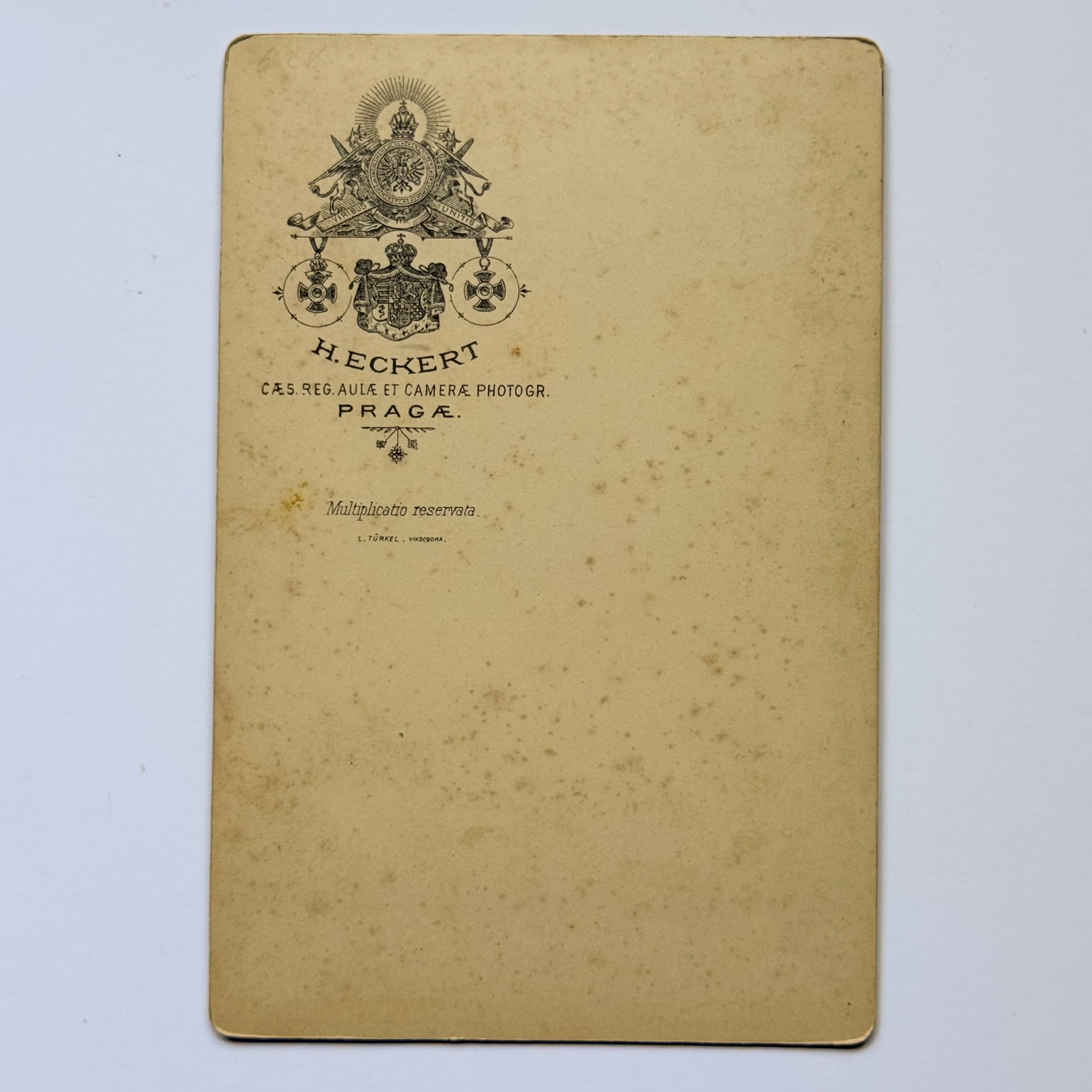 Porträt eines bärtigen Mannes - H. Eckert, Hof- und Kammerfotograf, Prag (ca. 1885)