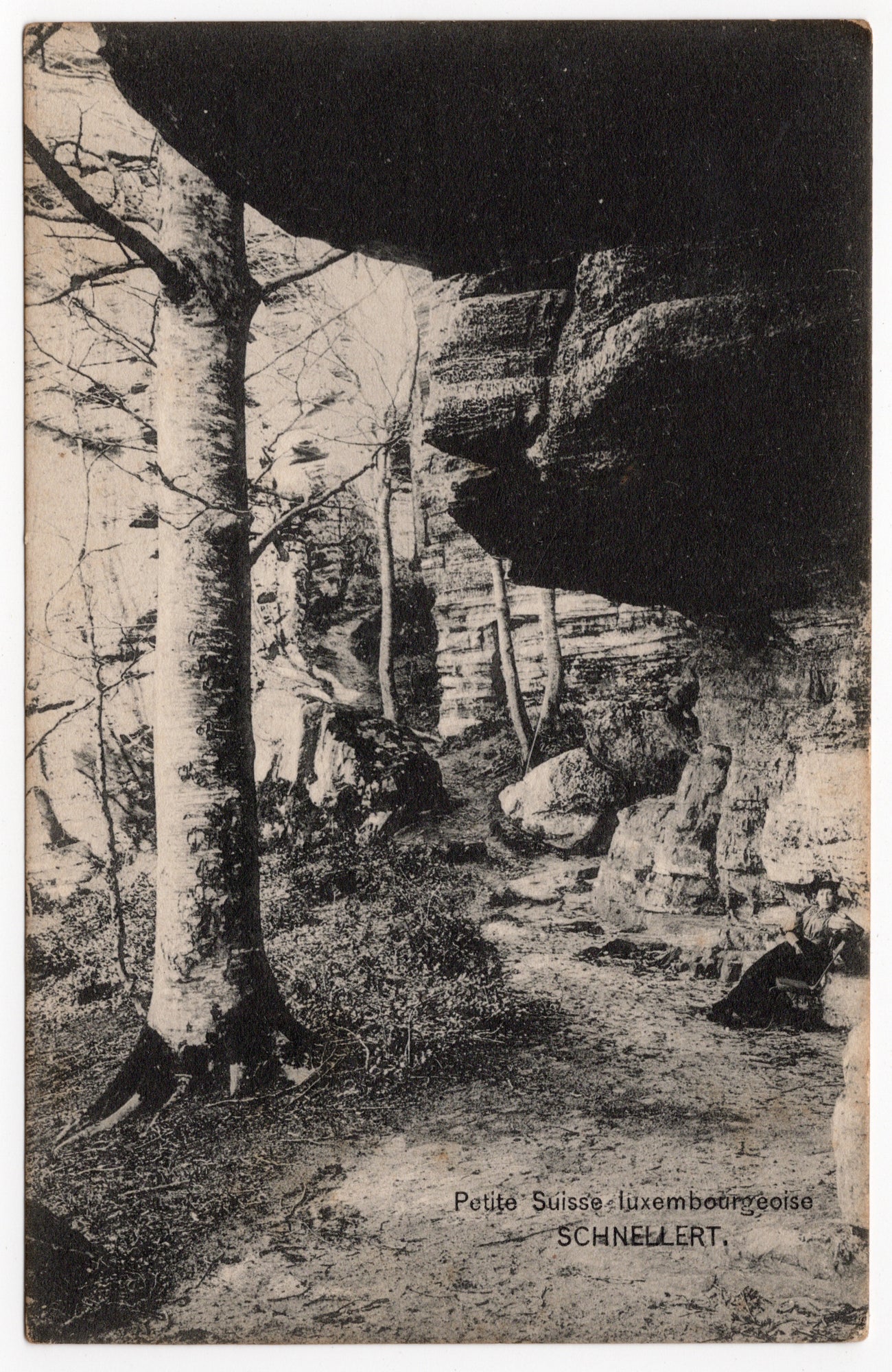 Zwart-wit ansichtkaart Schnellert Petite Suisse luxembourgeoise, zandsteenformatie met beuken, uitgave Sulzbach-Saar circa 1905