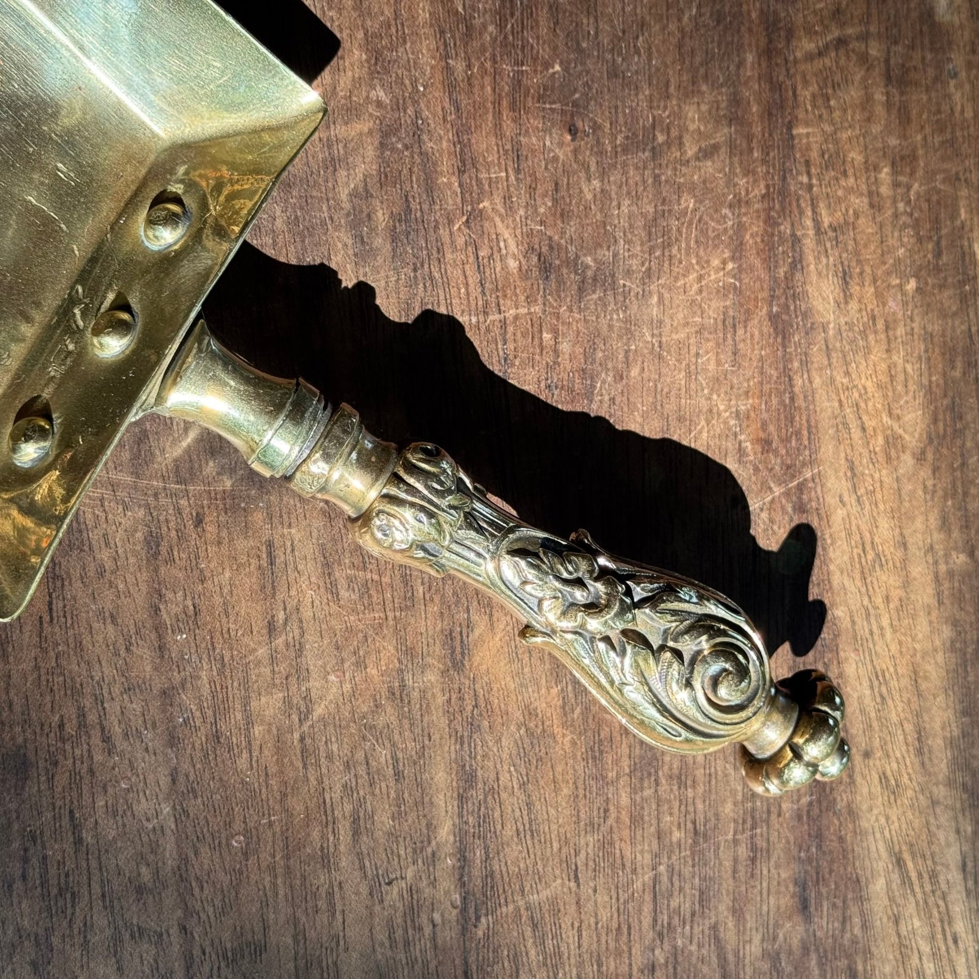 (Kopie) (Kopie) (Kopie) Xx - The Collectionist