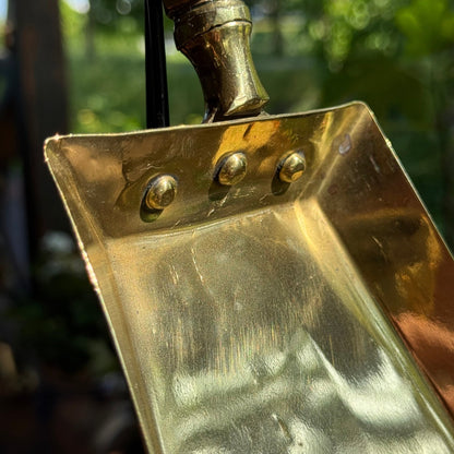 (Kopie) (Kopie) (Kopie) Xx - The Collectionist