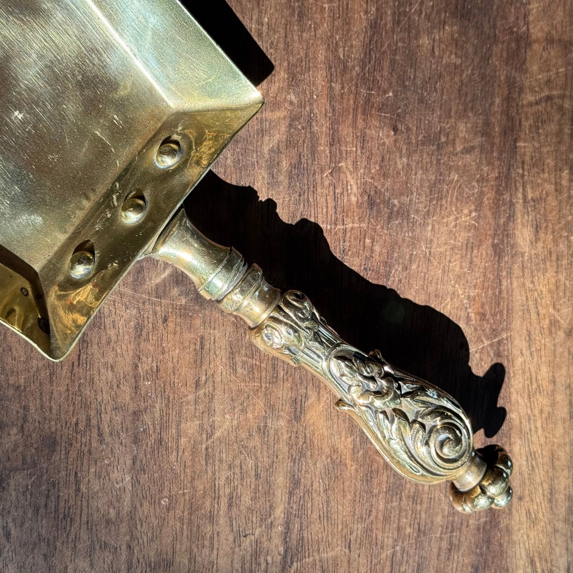 (Kopie) (Kopie) (Kopie) Xx - The Collectionist