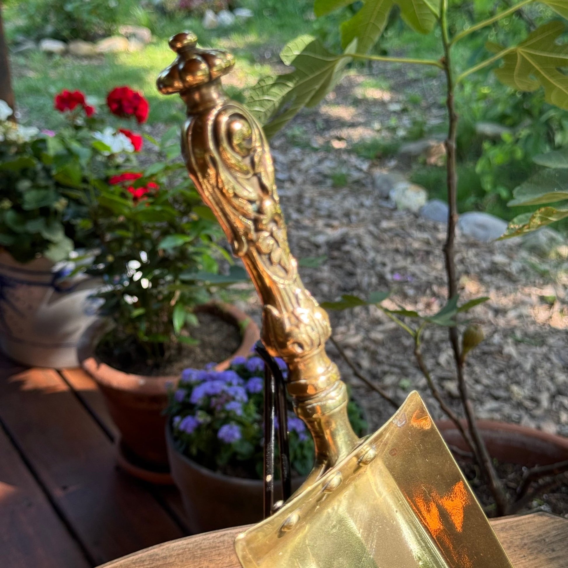 (Kopie) (Kopie) (Kopie) Xx - The Collectionist