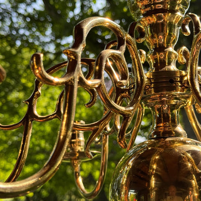 (Kopie) (Kopie) Xx - The Collectionist