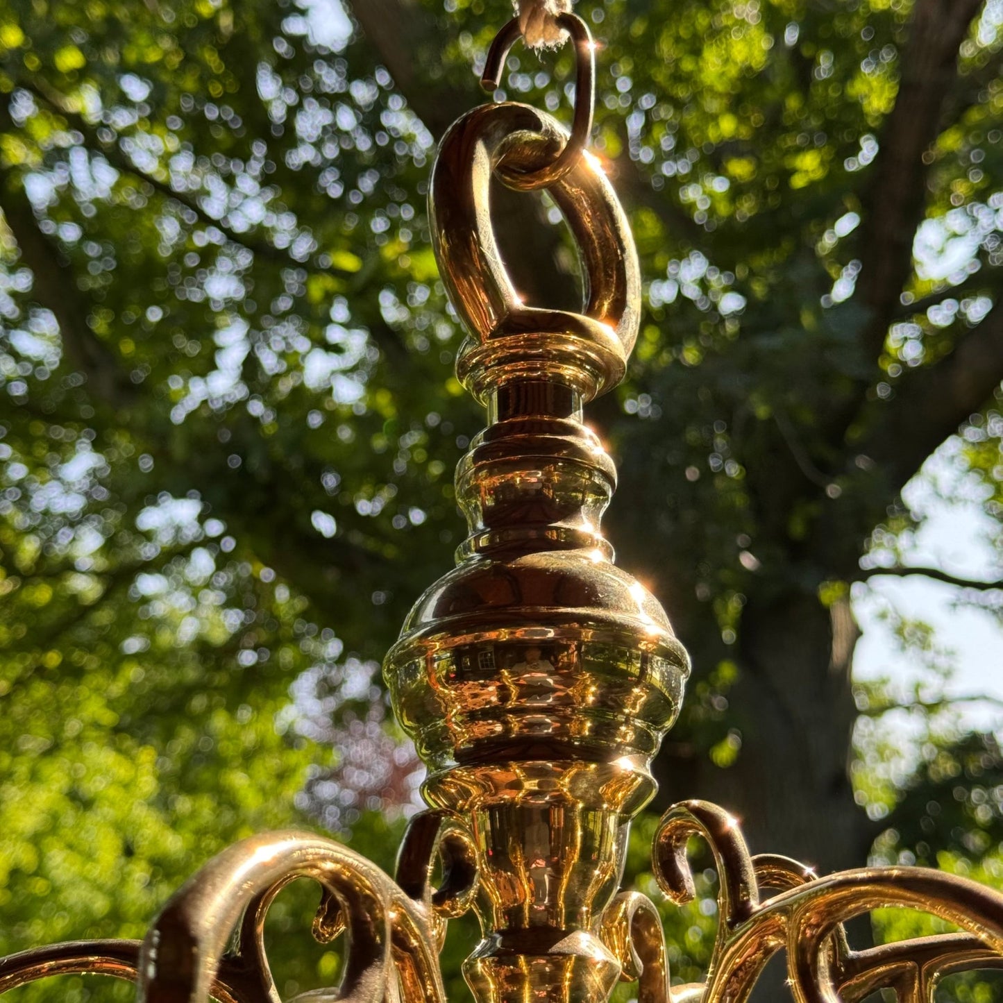 (Kopie) (Kopie) Xx - The Collectionist