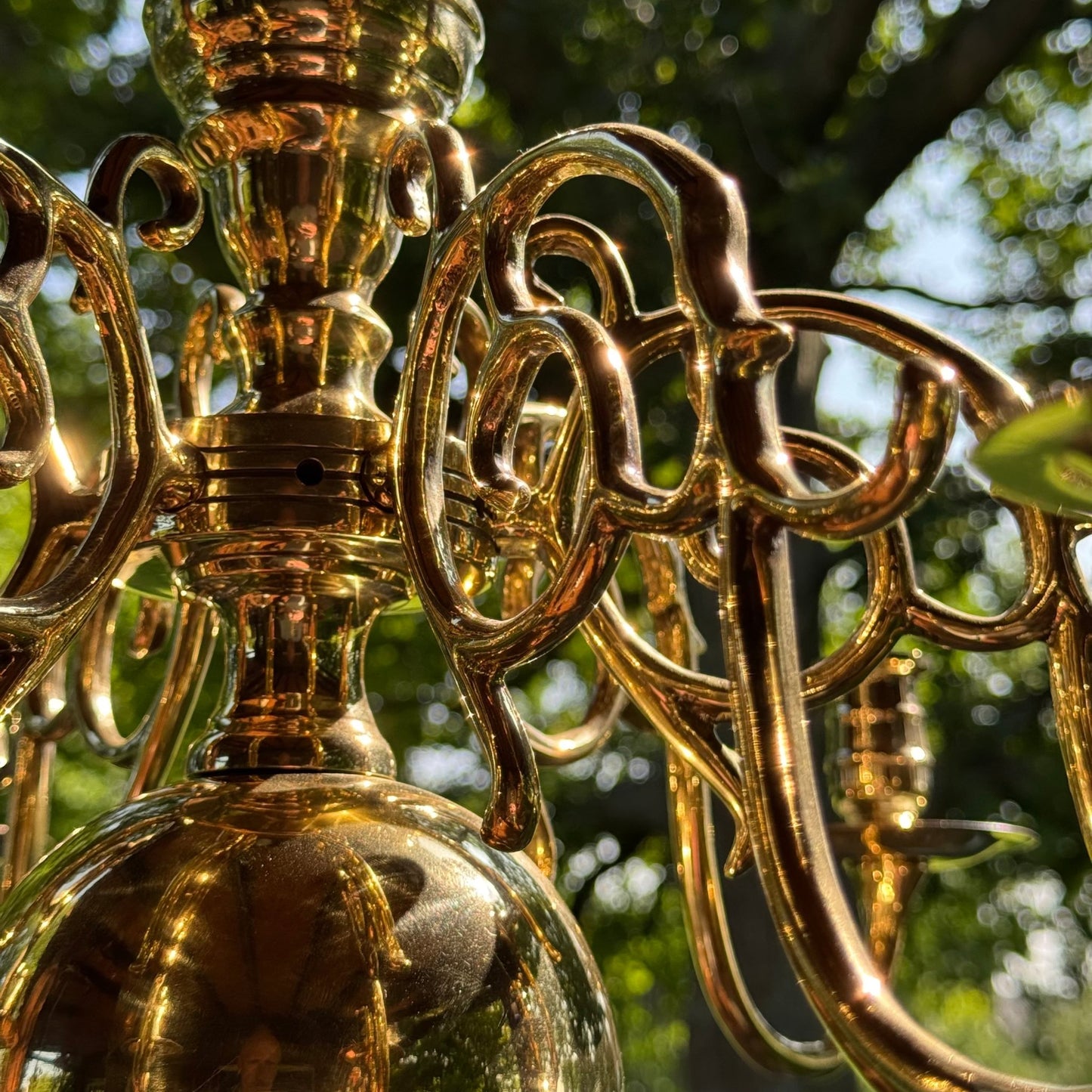 (Kopie) (Kopie) Xx - The Collectionist