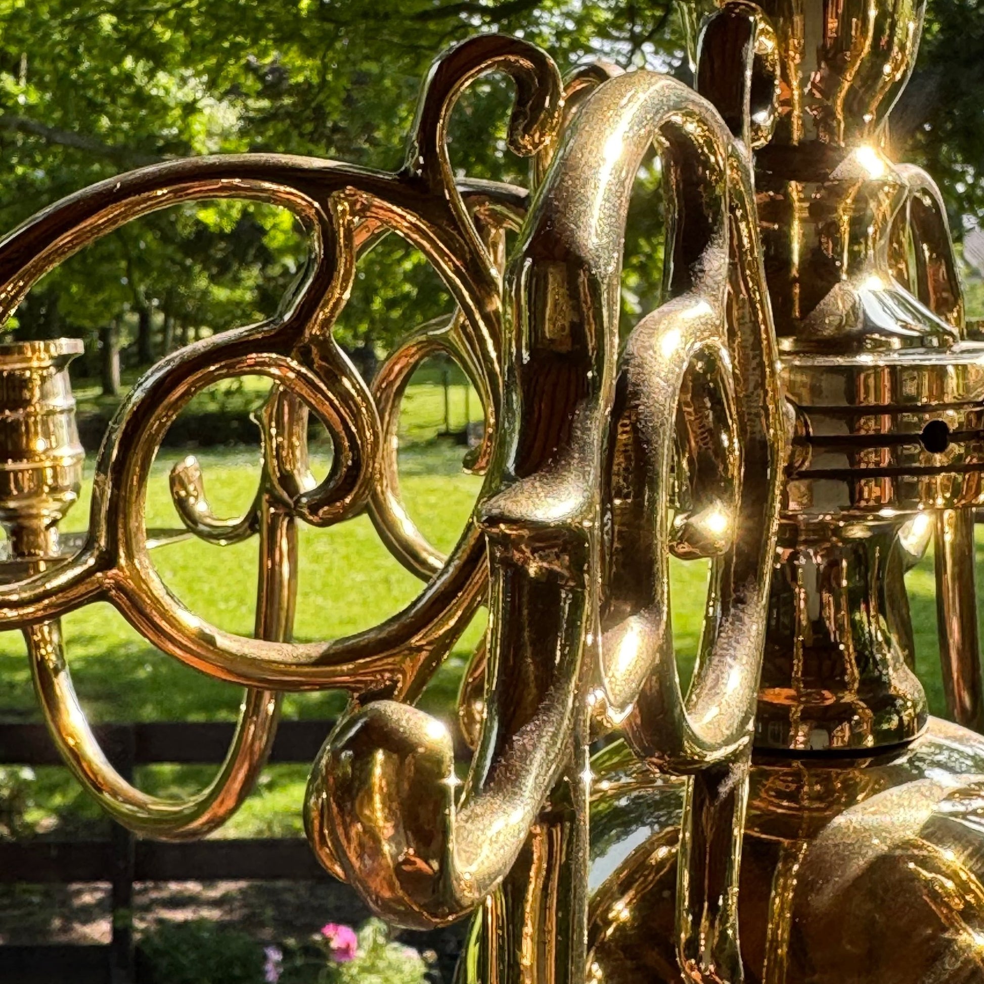 (Kopie) (Kopie) Xx - The Collectionist