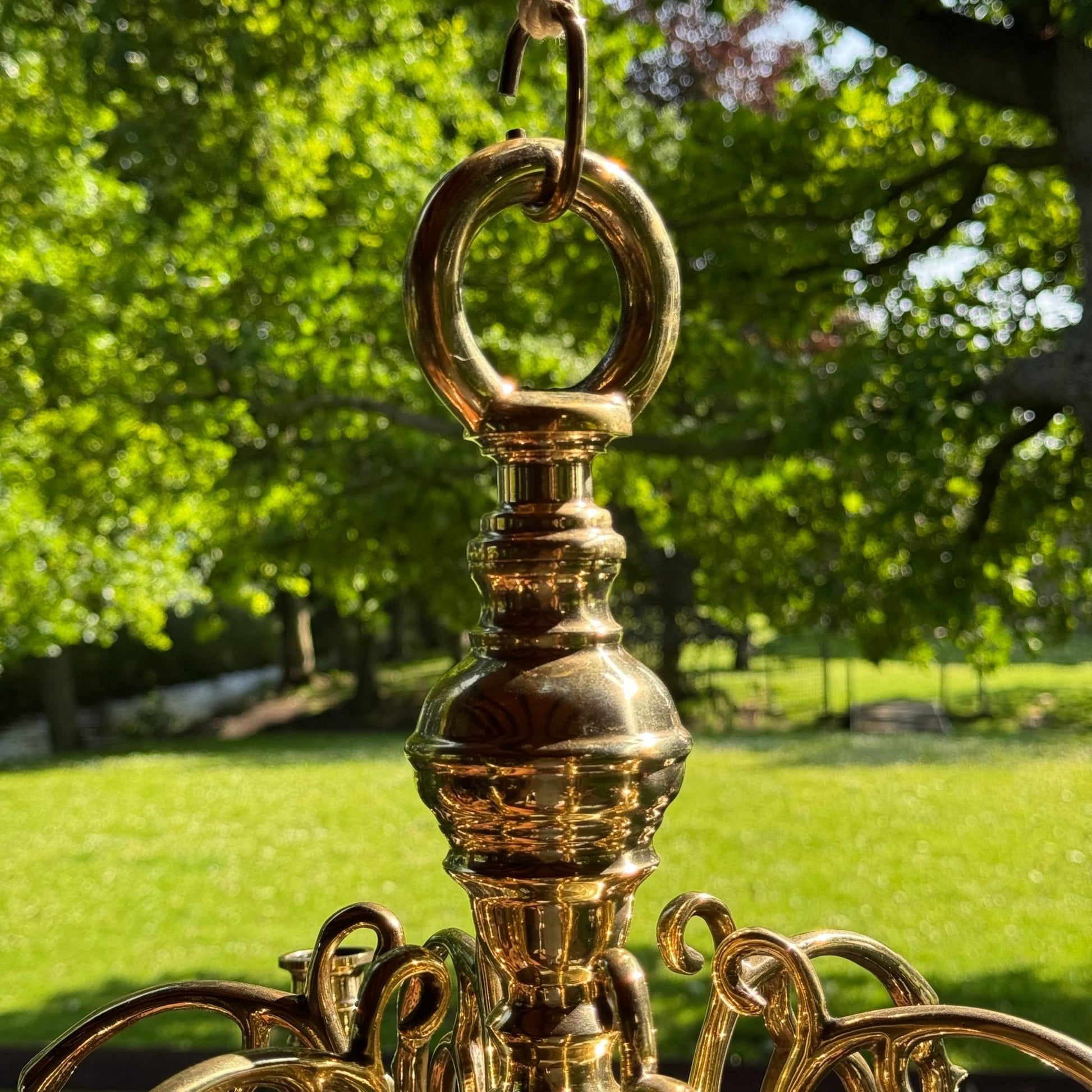 (Kopie) (Kopie) Xx - The Collectionist