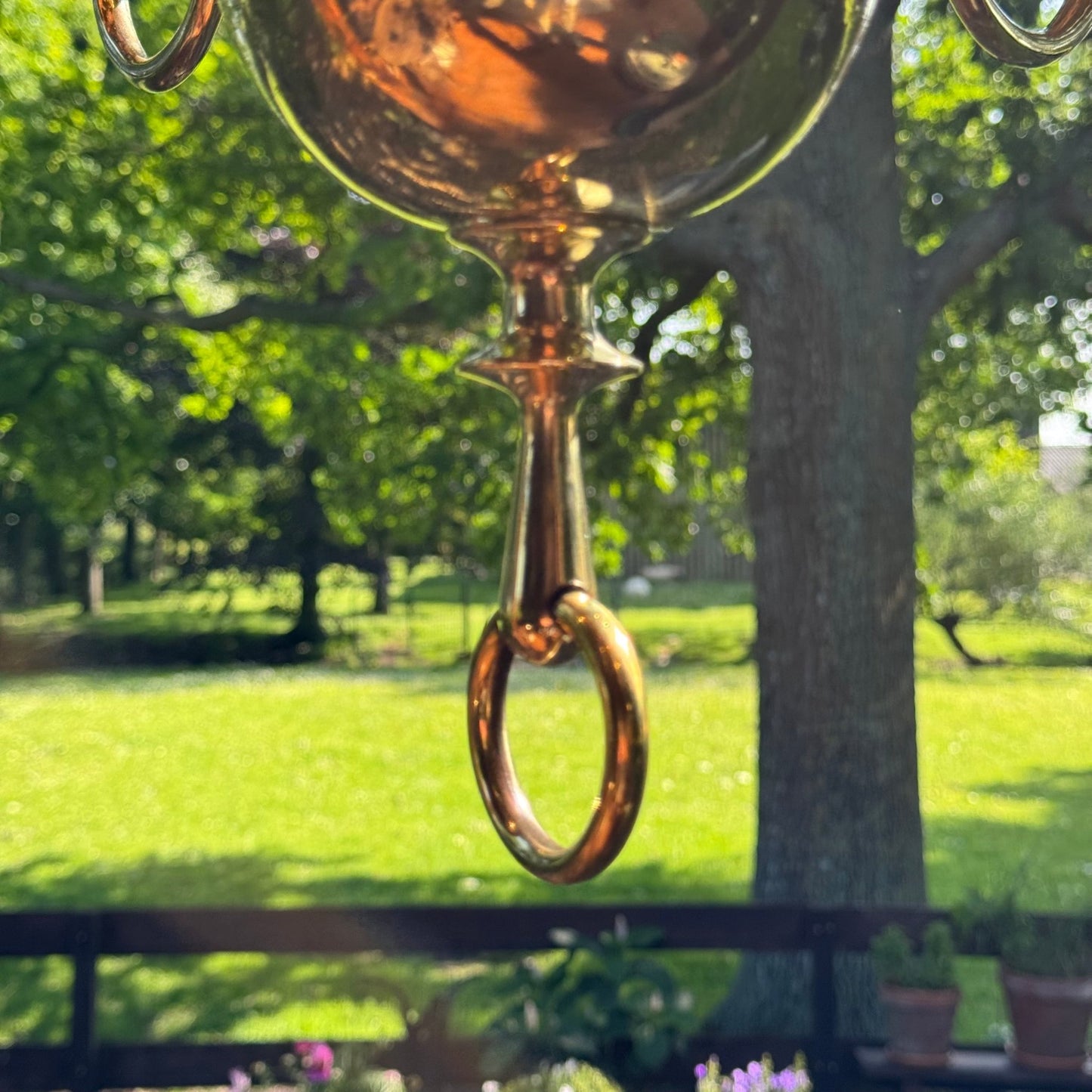 (Kopie) (Kopie) Xx - The Collectionist